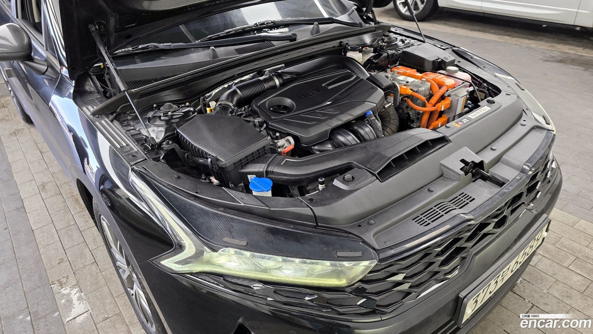 Main__Slider__Photo:K5 Kia 2022.0-5