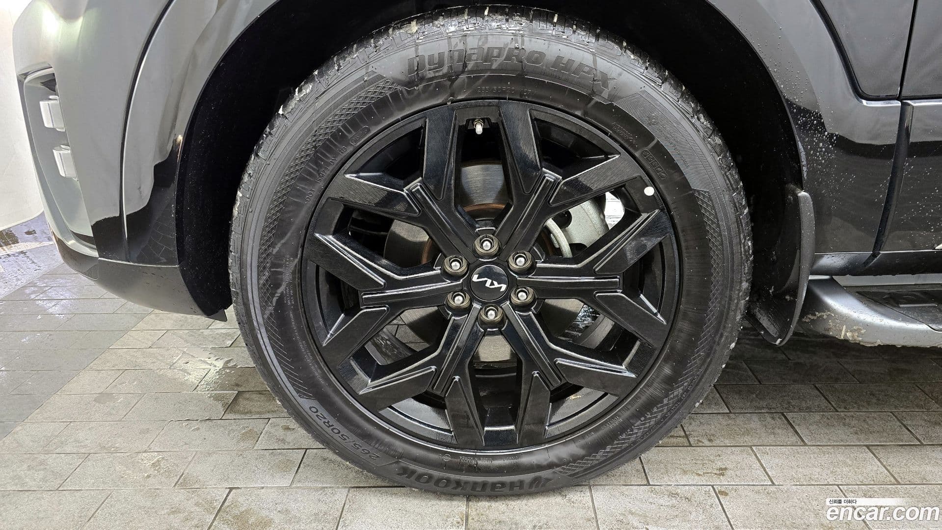 Main__Slider__Photo:Mohave Kia 2022.9-4