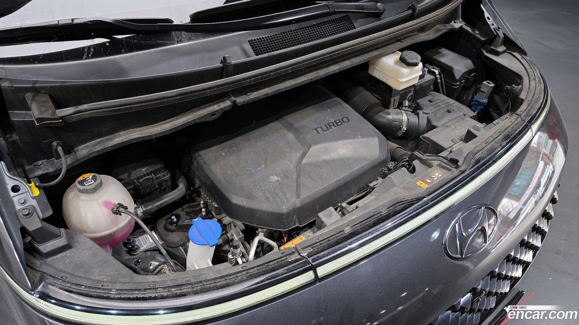 Main__Slider__Photo:Staria Hyundai 2022.5-5