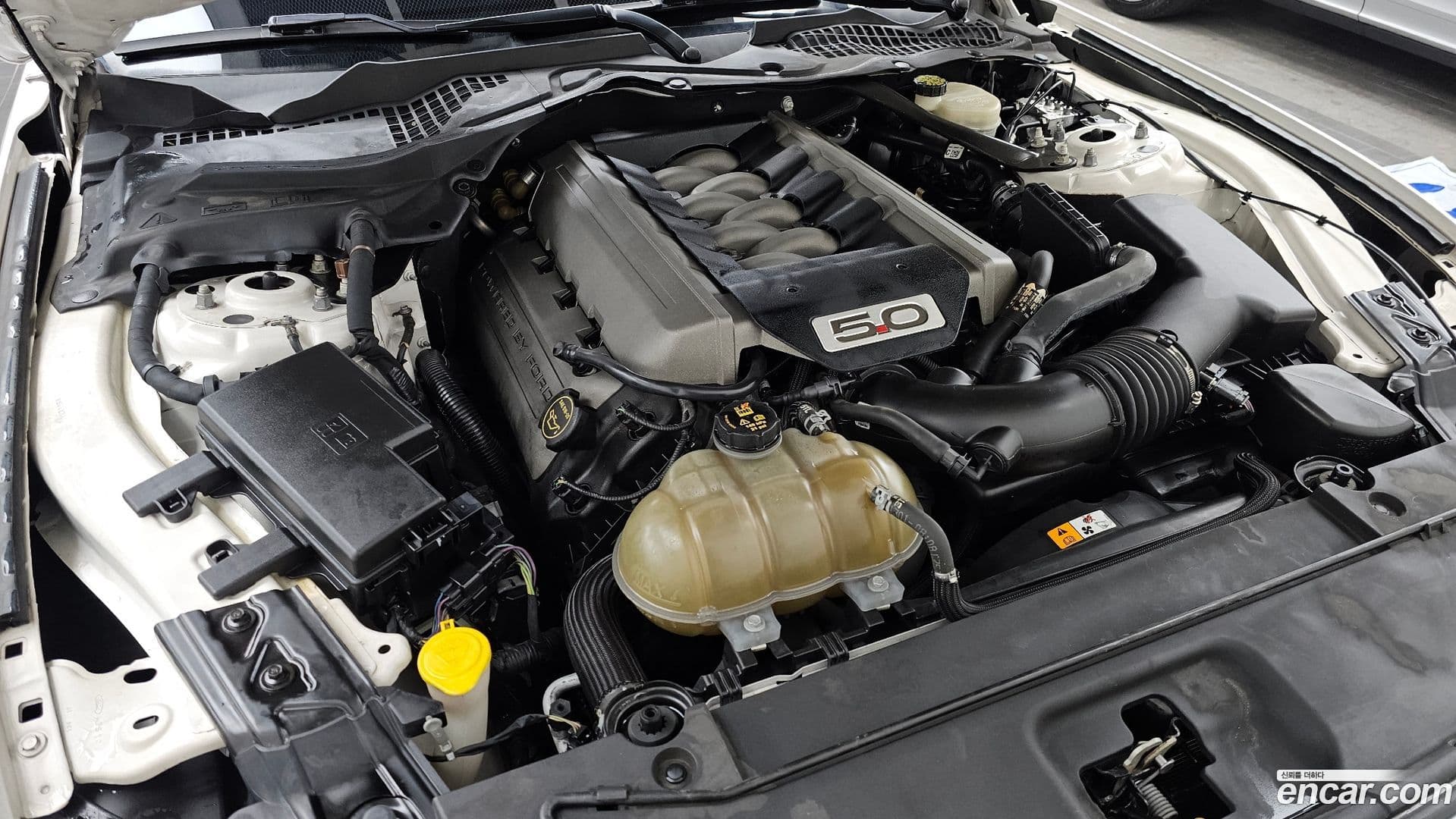 Main__Slider__Photo:Mustang Ford 2017.11-5