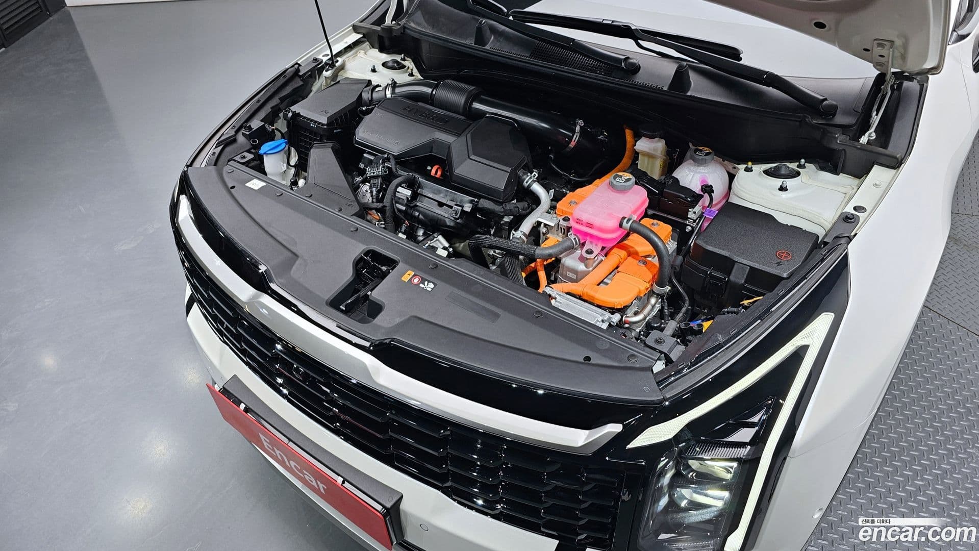 Main__Slider__Photo:Sportage Kia 2025.0-5