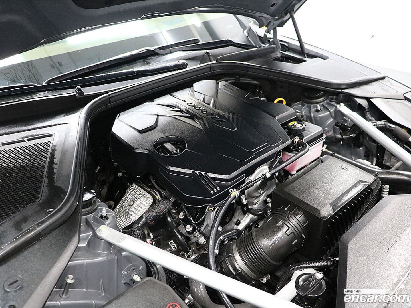 Main__Slider__Photo:G80 Genesis 2024.1-18