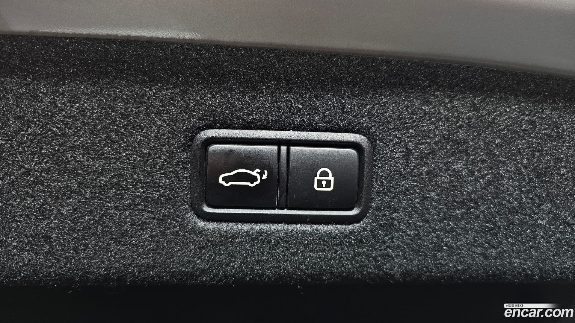 Main__Slider__Photo:K9 Kia 2018.8-19