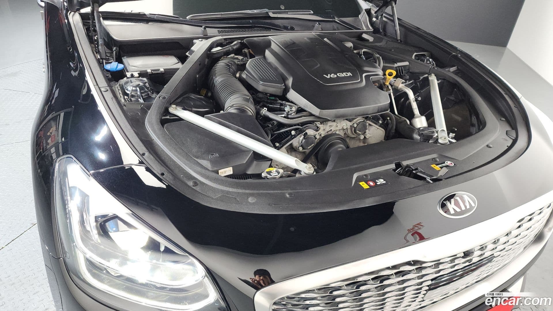 Main__Slider__Photo:K9 Kia 2019.6-5