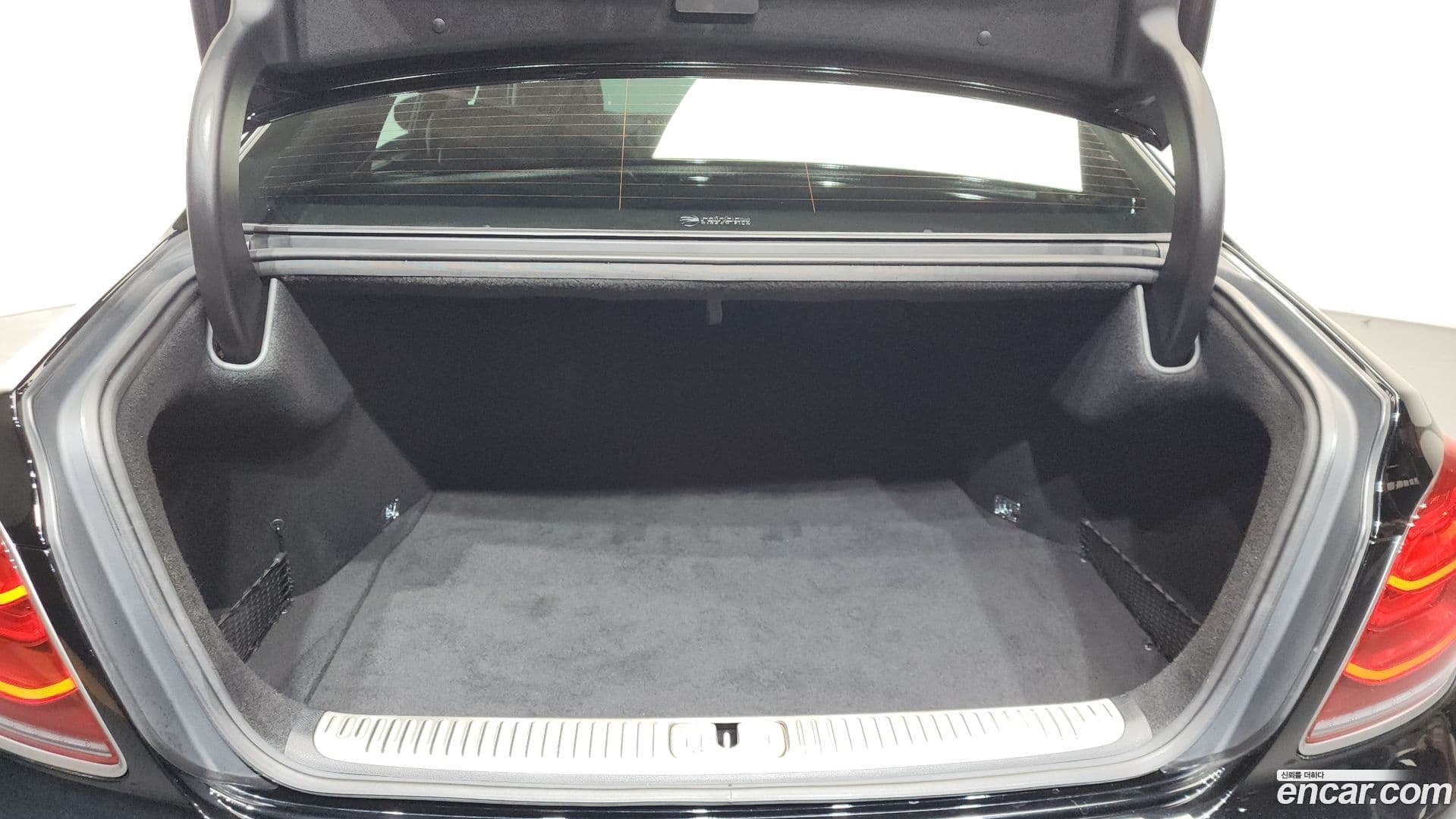 Main__Slider__Photo:K9 Kia 2019.6-19