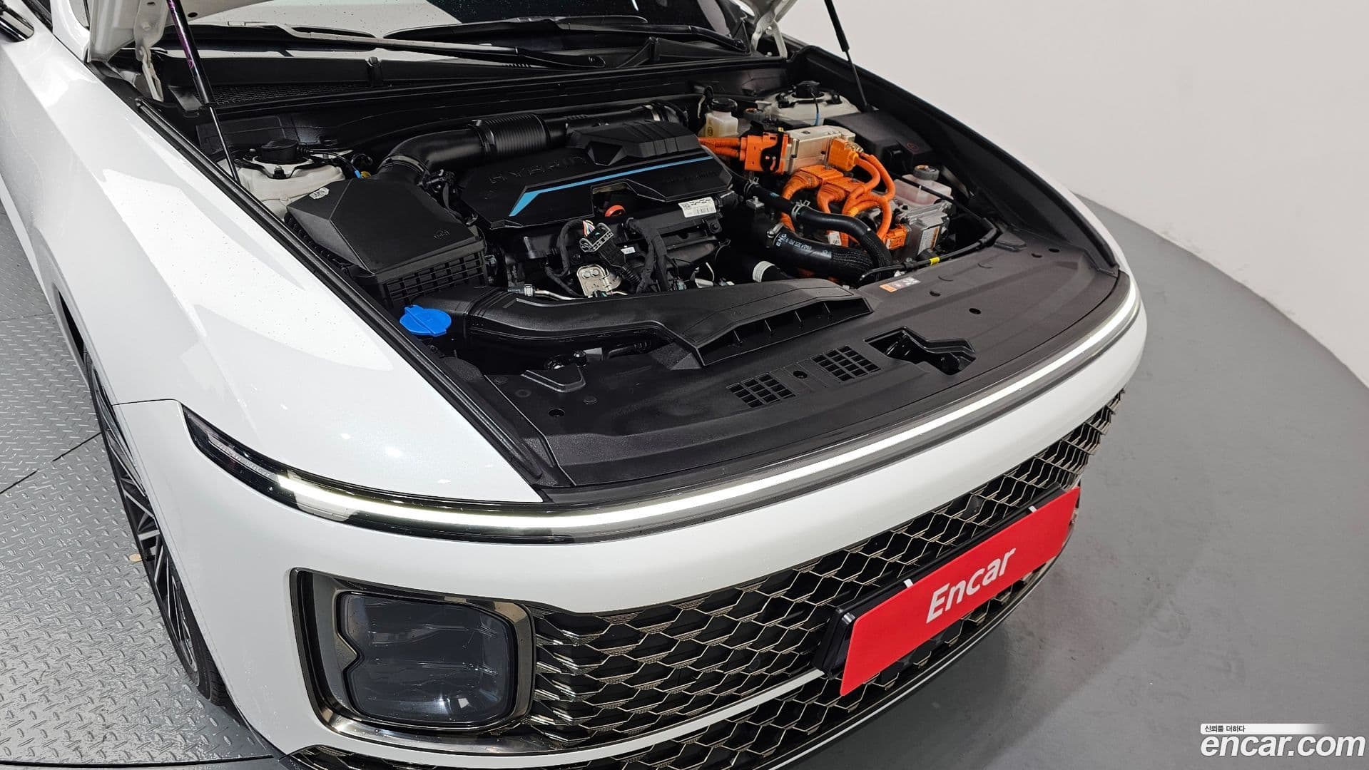 Main__Slider__Photo:Grandeur Hyundai 2023.5-5