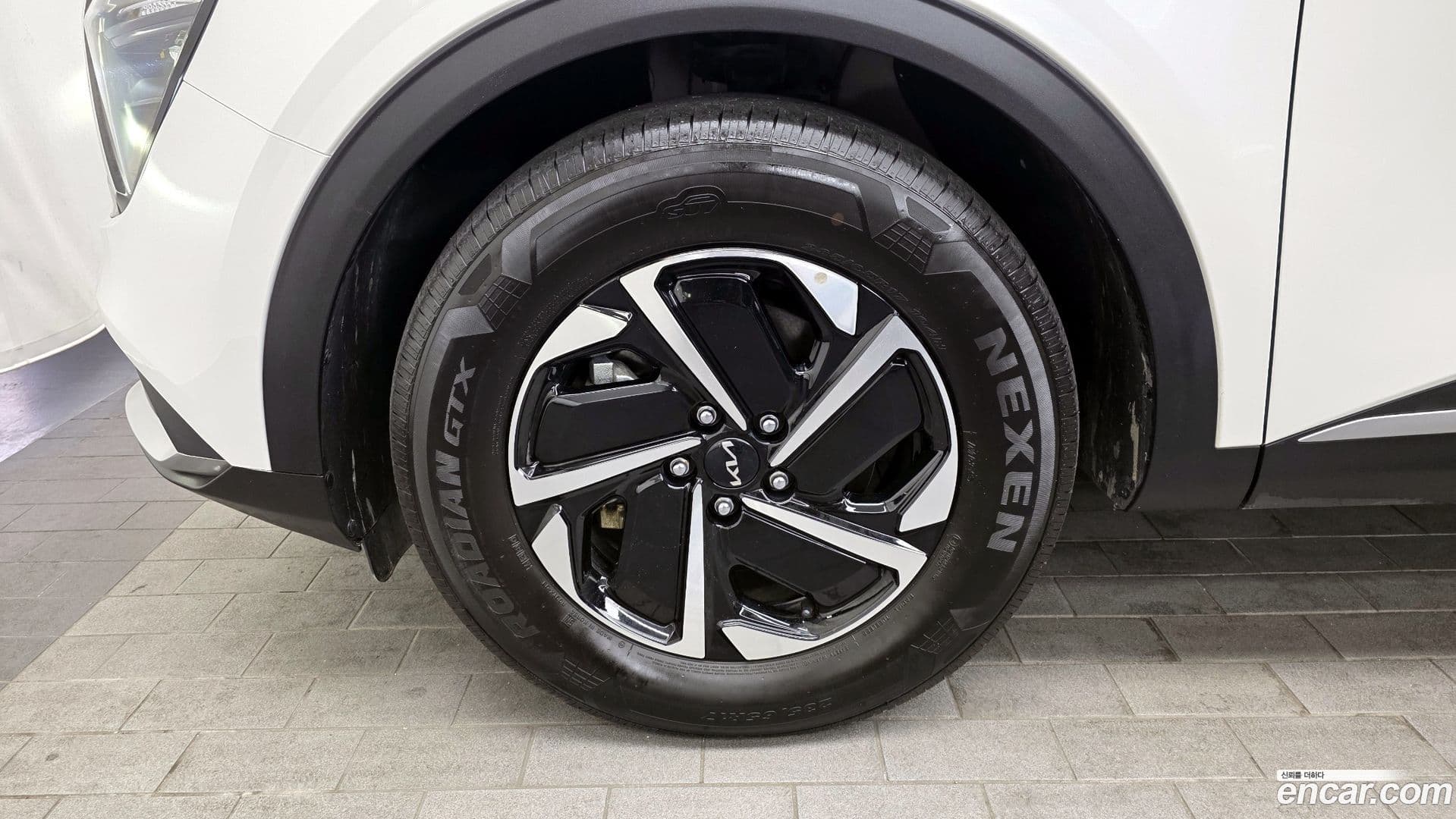 Main__Slider__Photo:Sportage Kia 2024.0-4