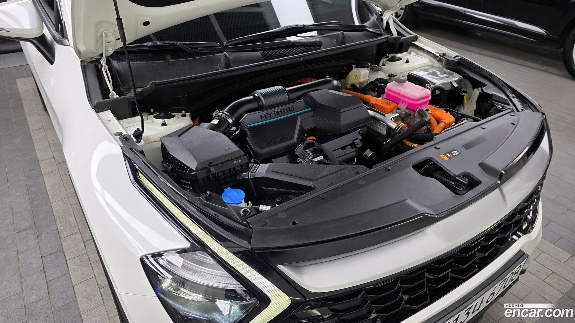 Main__Slider__Photo:Sportage Kia 2024.0-5