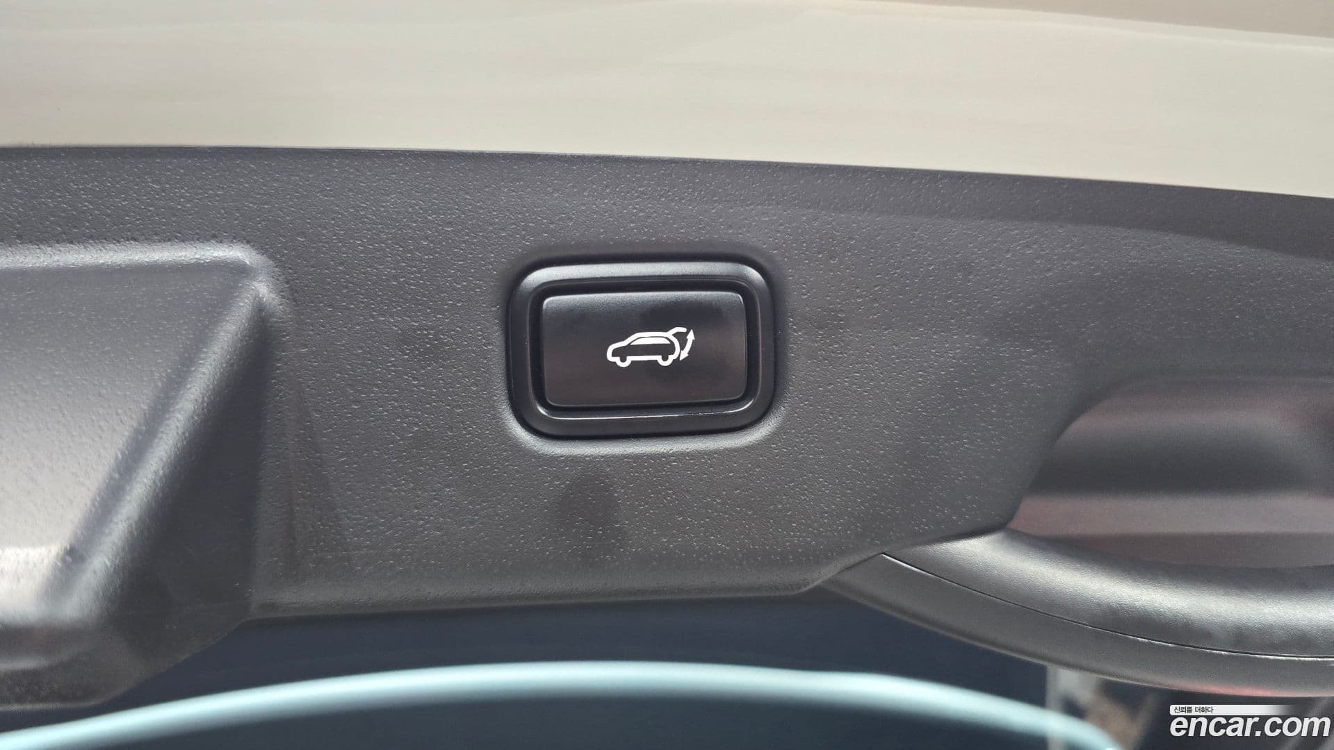 Main__Slider__Photo:Niro Kia 2022.9-19