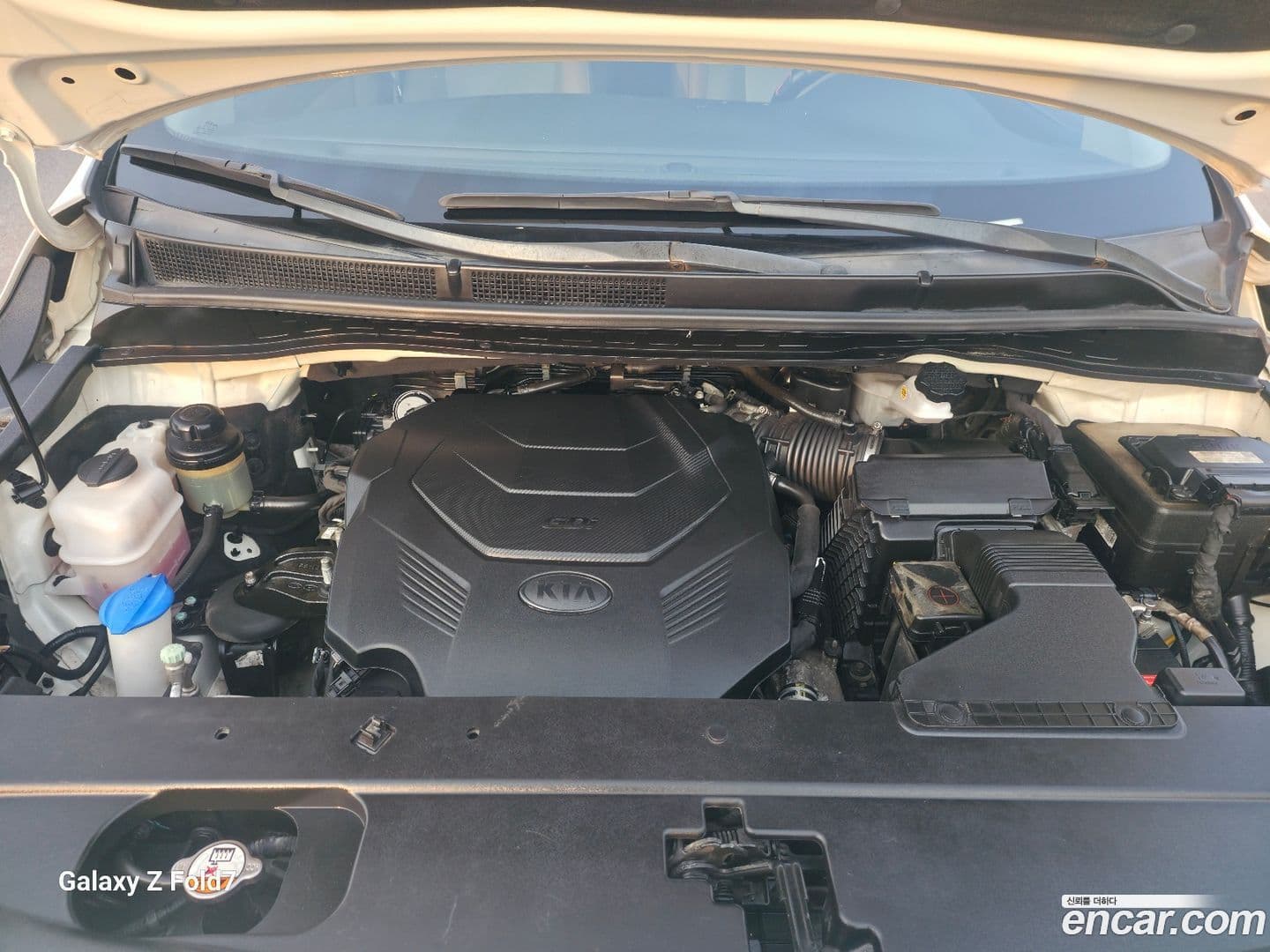 Main__Slider__Photo:Canival Kia 2020.4-7