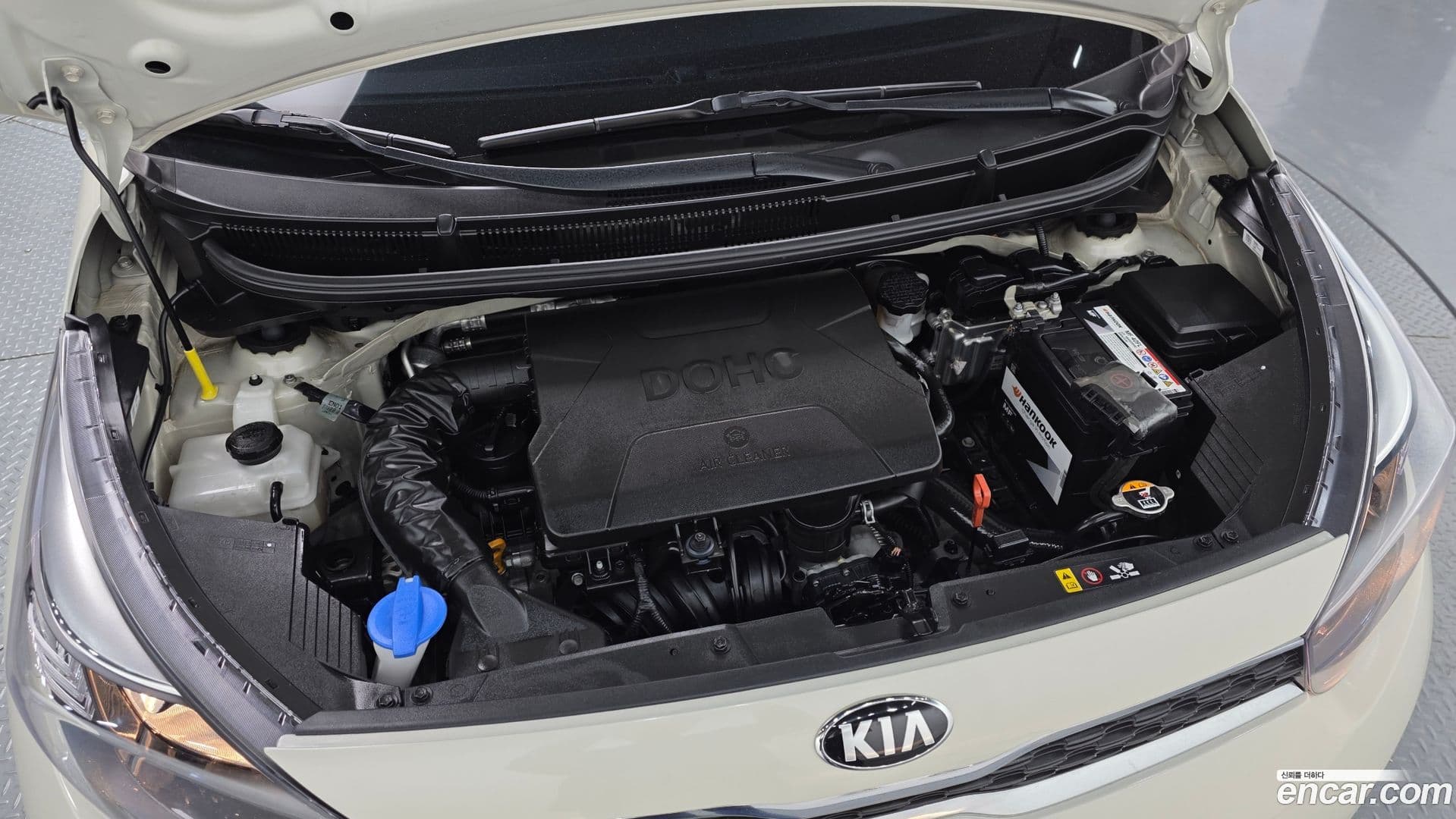 Main__Slider__Photo:morning Kia 2018.5-5