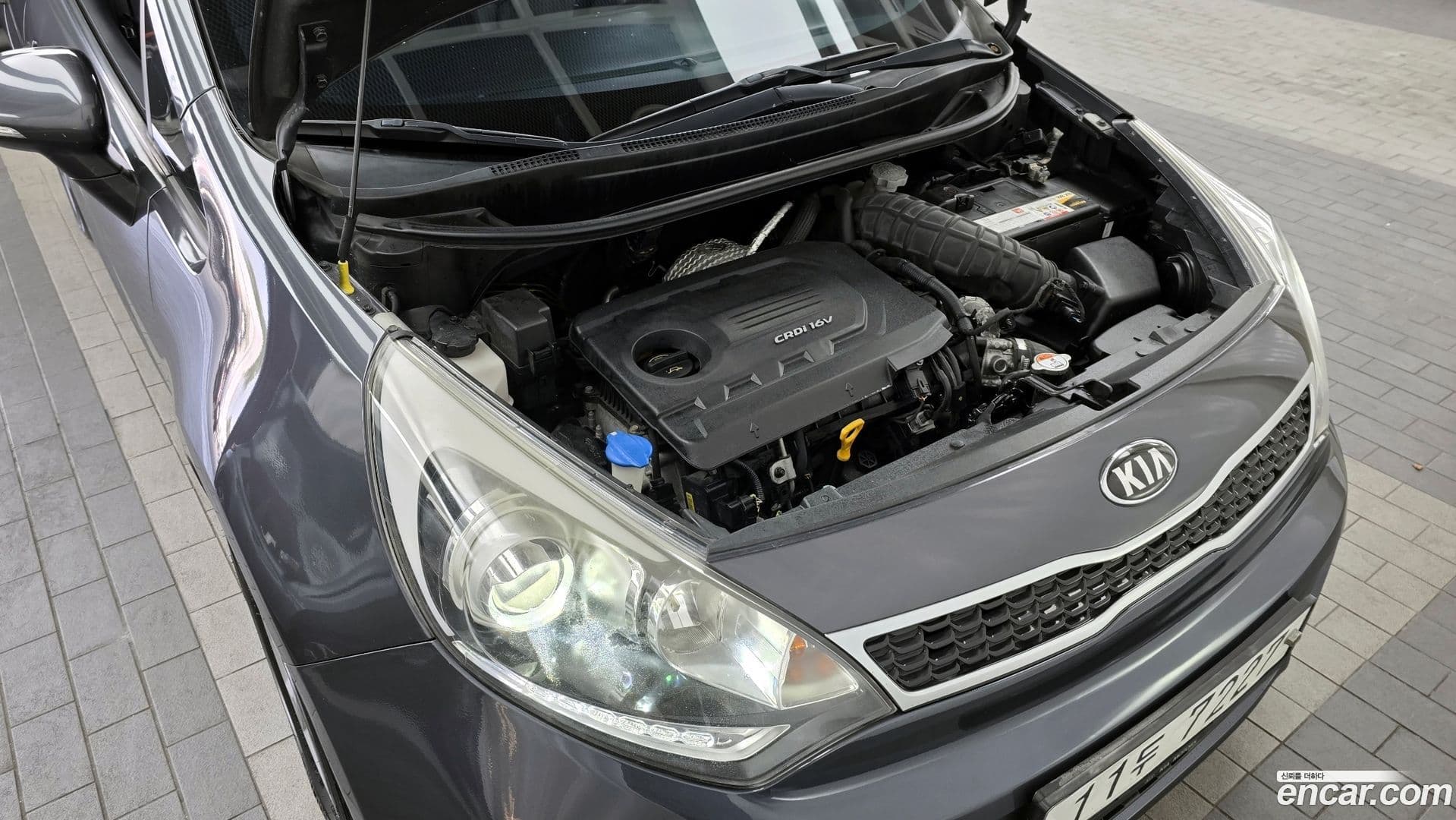 Main__Slider__Photo:pride Kia 2015.4-5