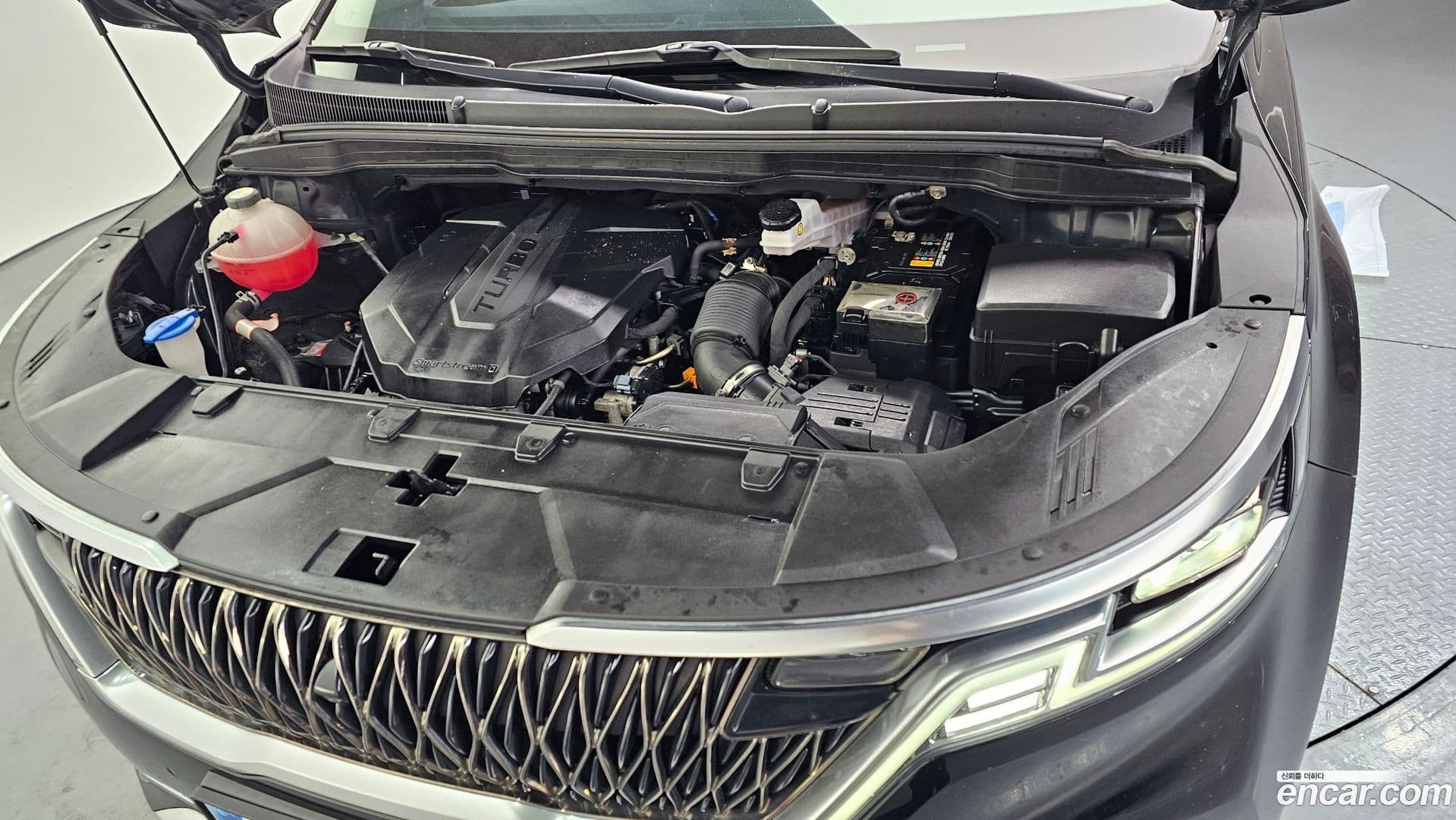 Main__Slider__Photo:Canival Kia 2021.0-5