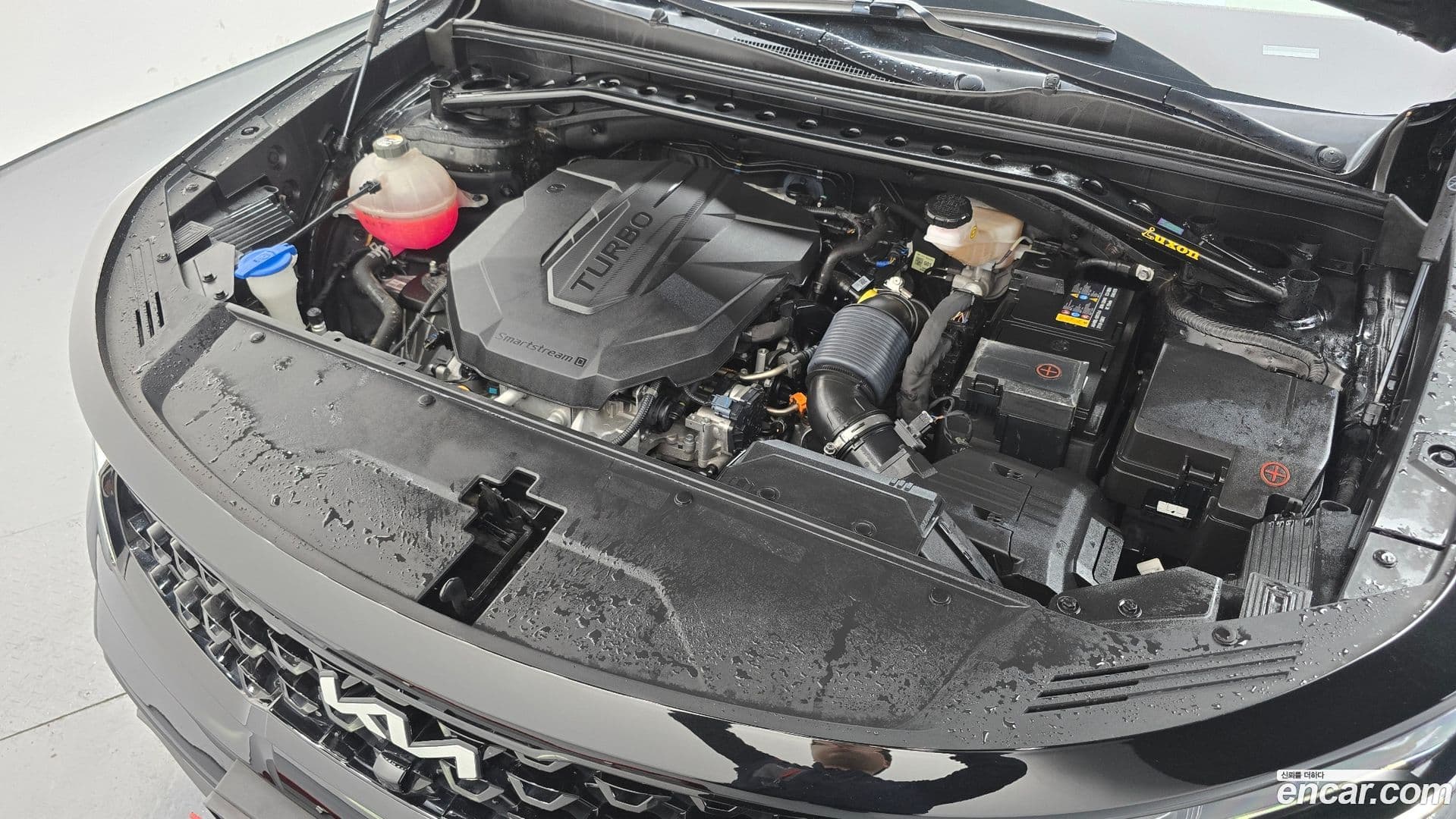 Main__Slider__Photo:Sorento Kia 2021.7-5