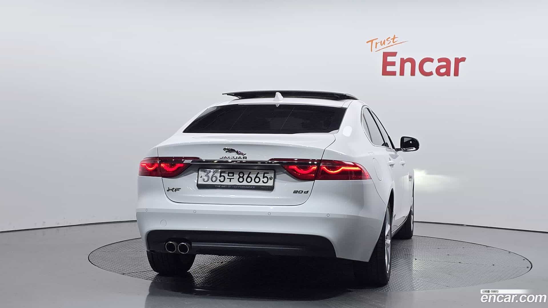 XF Jaguar 2019.8-OUTER-004