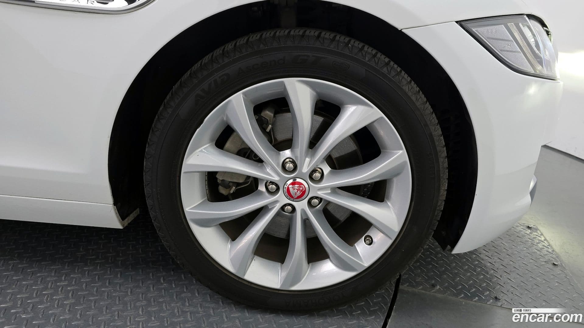 Main__Slider__Photo:XF Jaguar 2019.8-4