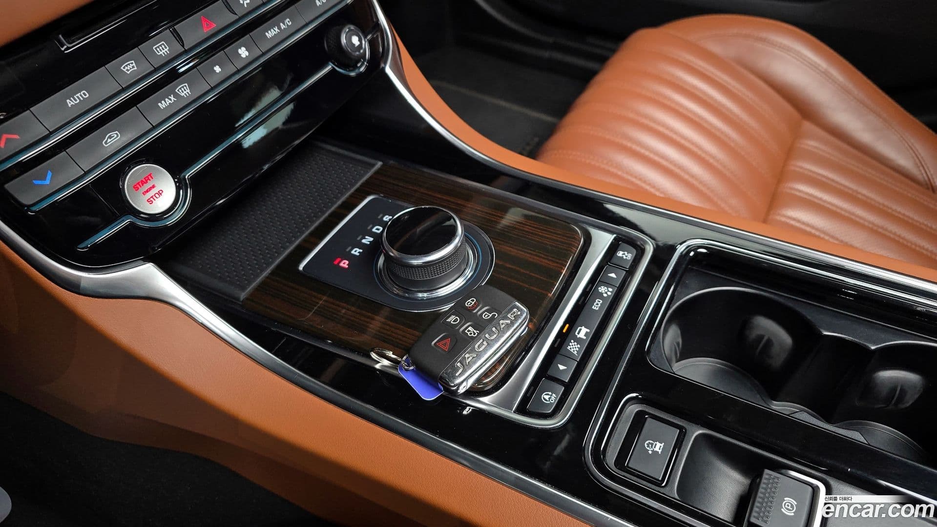 Main__Slider__Photo:XF Jaguar 2019.8-8