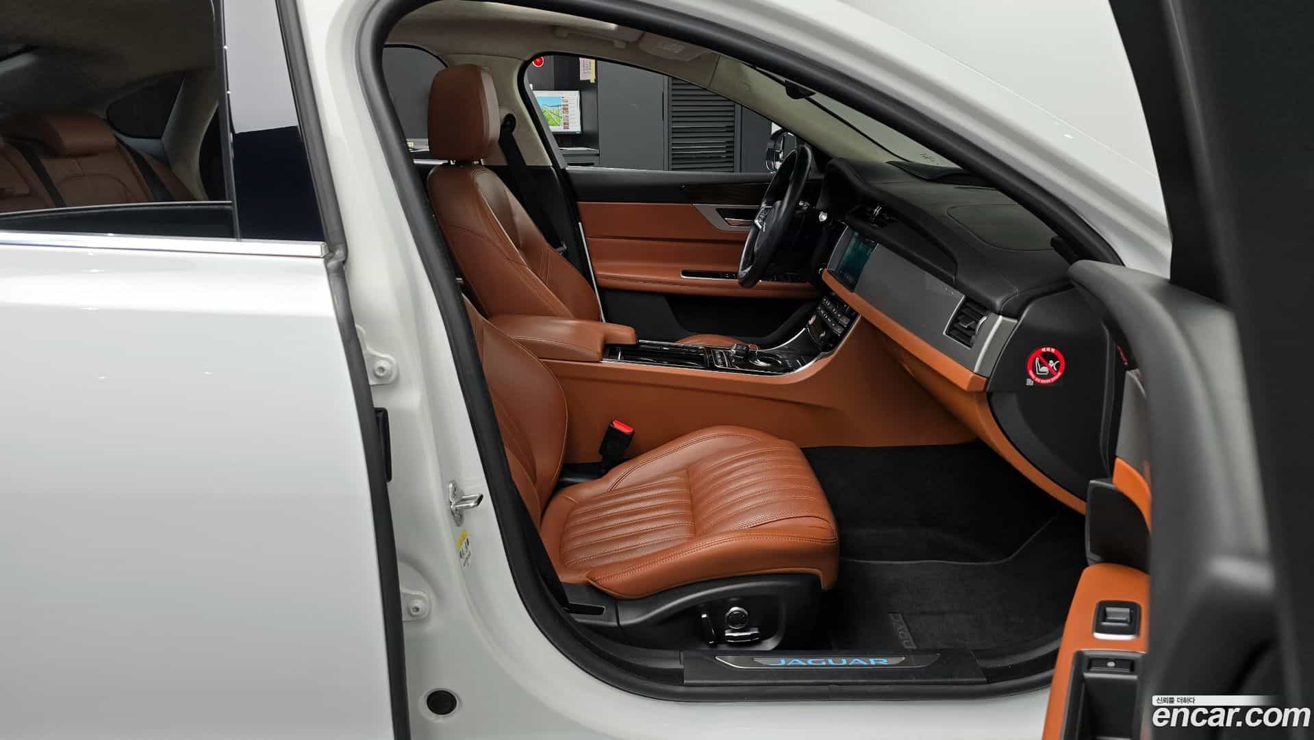 XF Jaguar 2019.8-OPTION-015