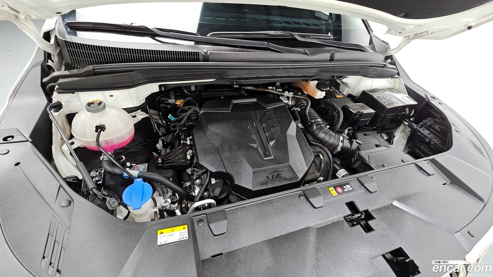 Main__Slider__Photo:Canival Kia 2023.4-5