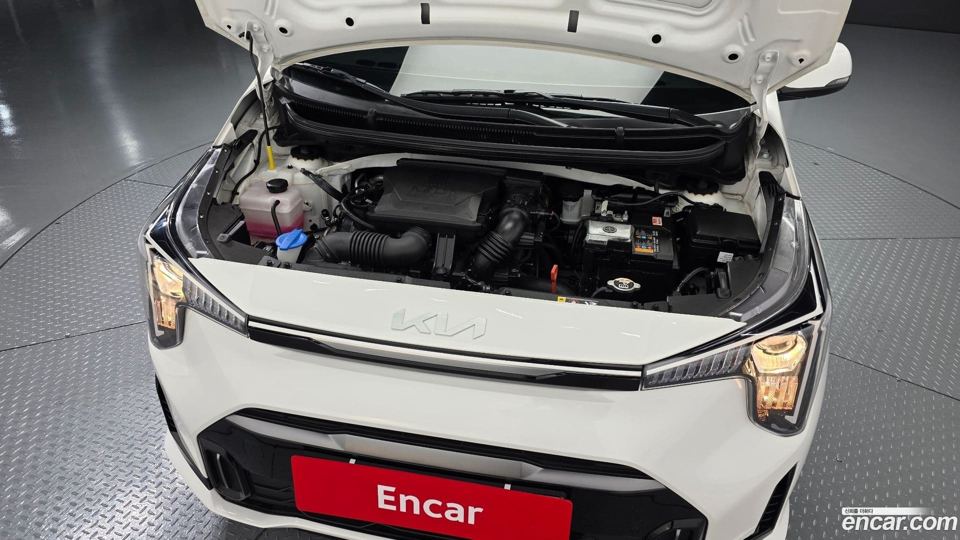 Main__Slider__Photo:morning Kia 2023.6-5