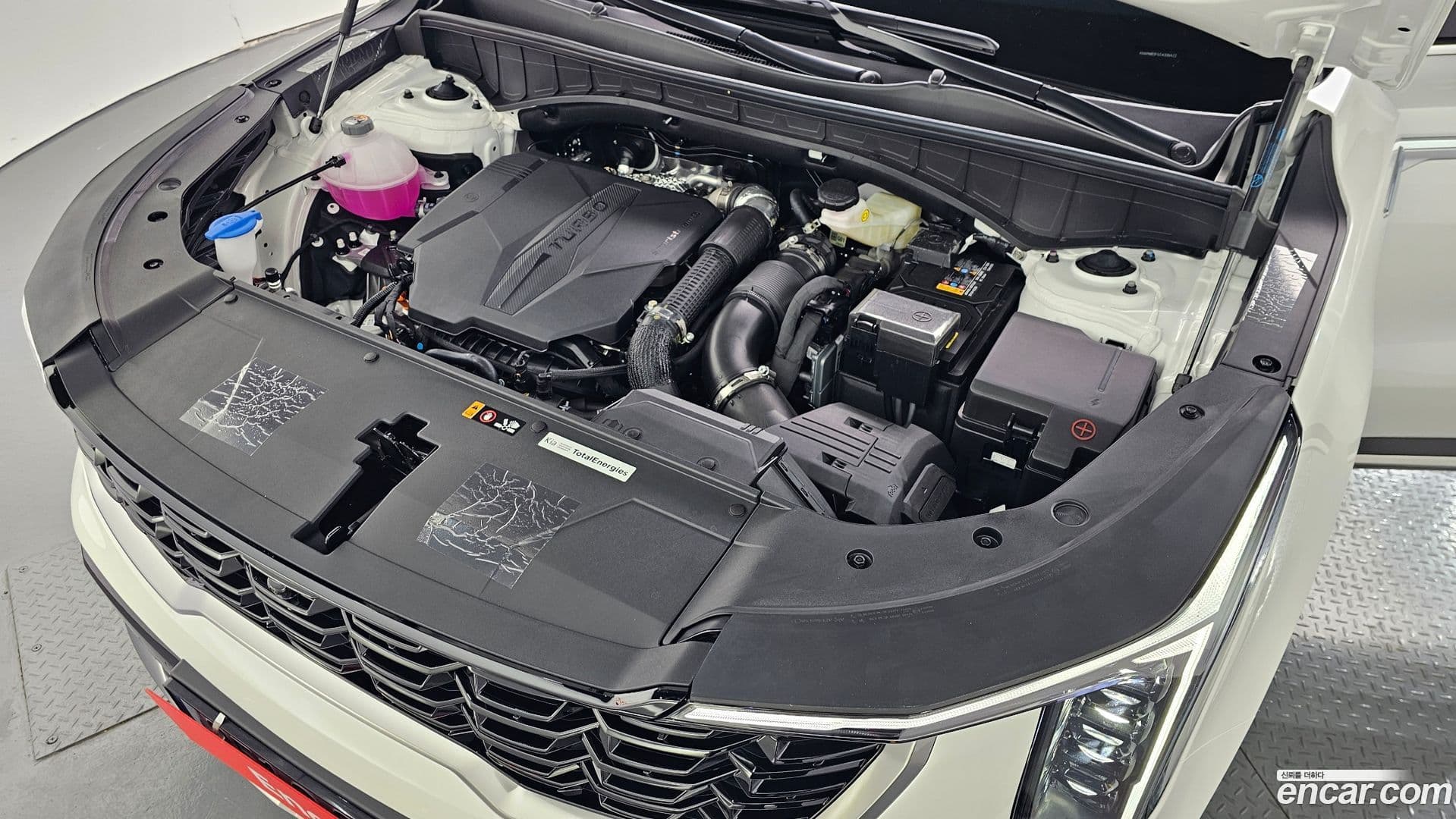 Main__Slider__Photo:Sorento Kia 2025.11-5