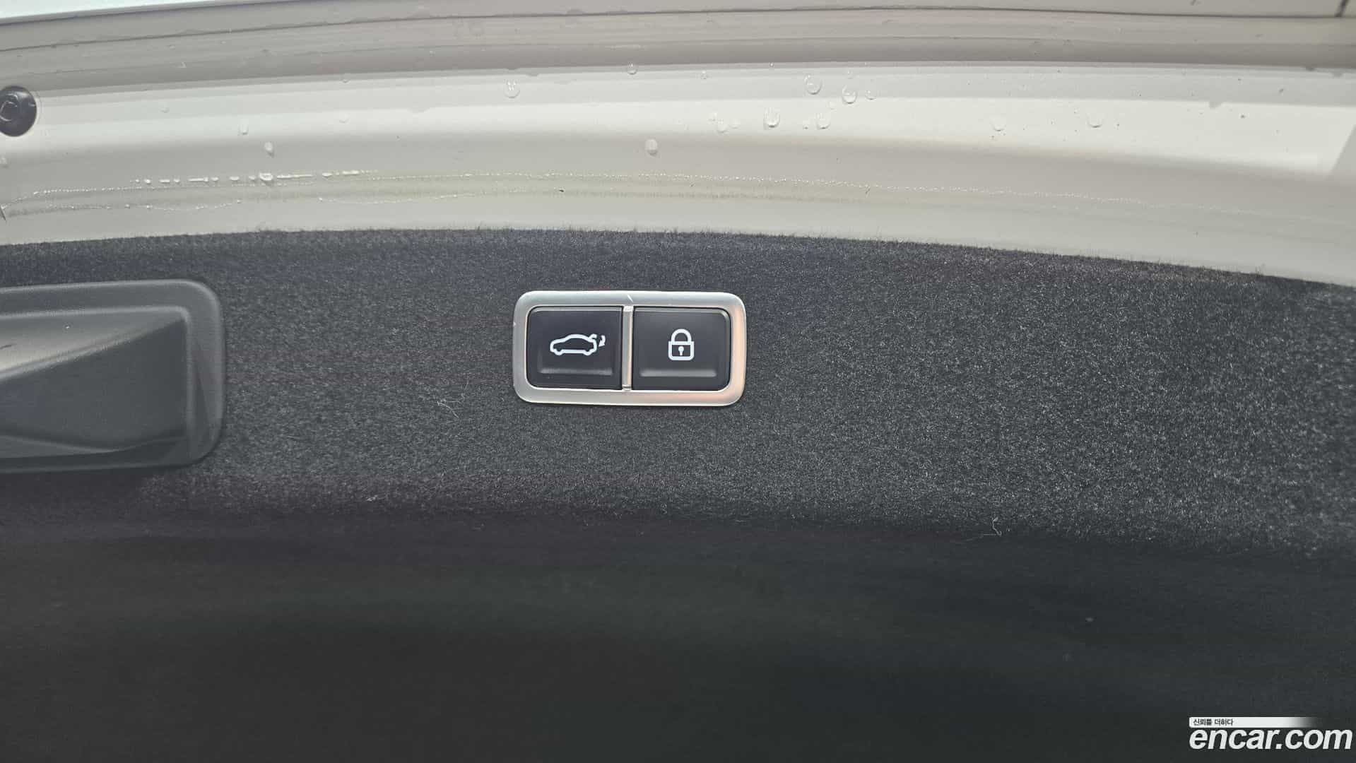 G80 Genesis 2020.4-OPTION-024