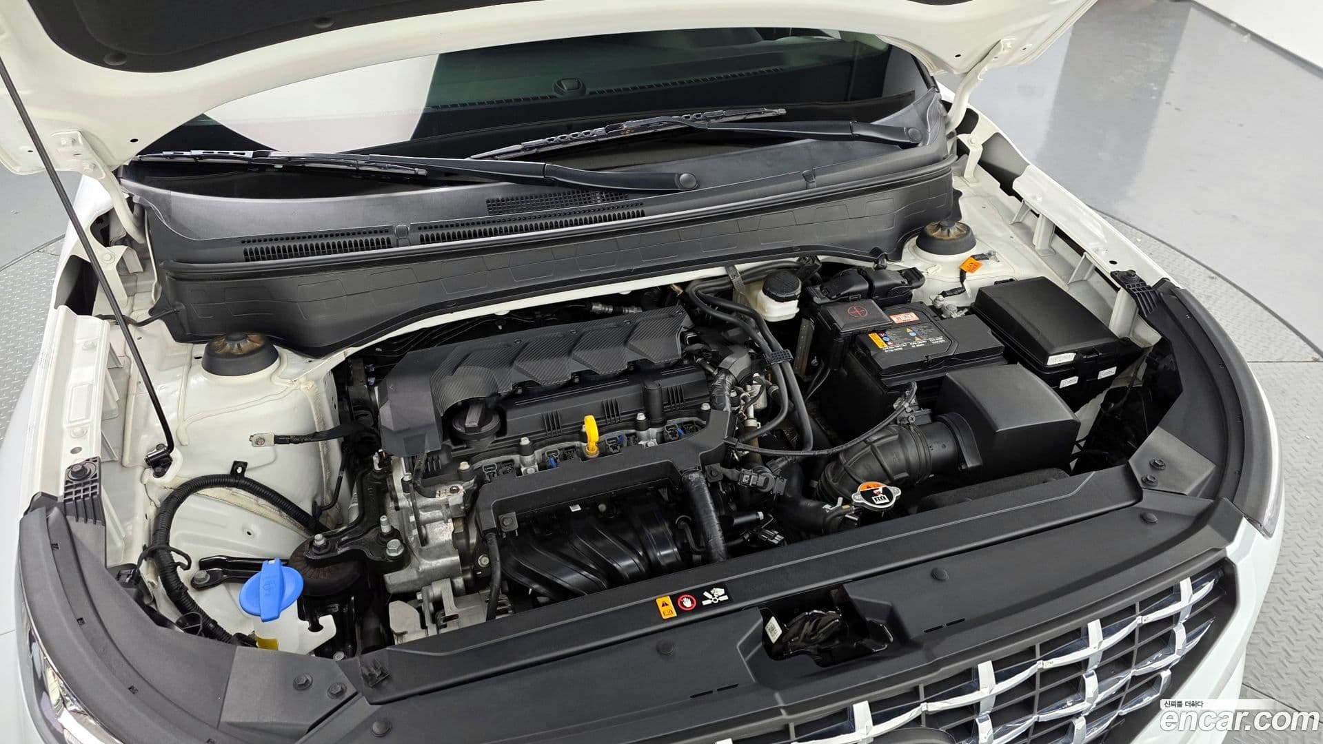 Main__Slider__Photo:Venue Hyundai 2022.8-5