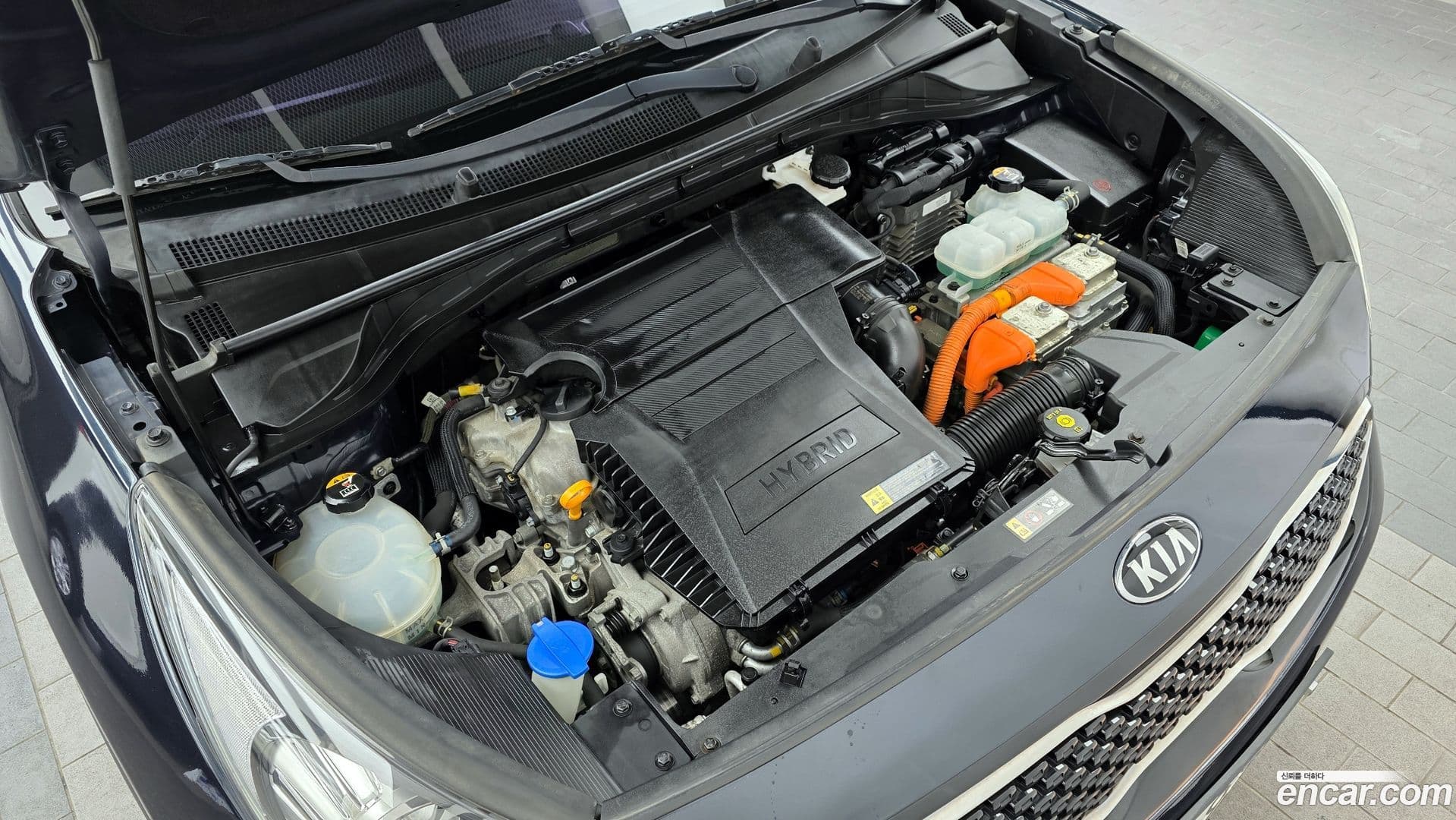 Main__Slider__Photo:Niro Kia 2018.2-5