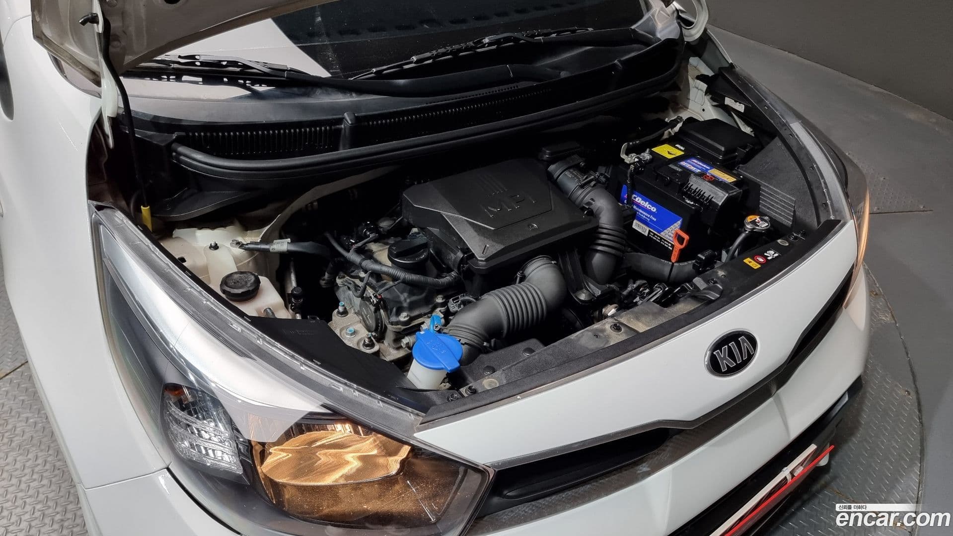 Main__Slider__Photo:morning Kia 2020.11-5