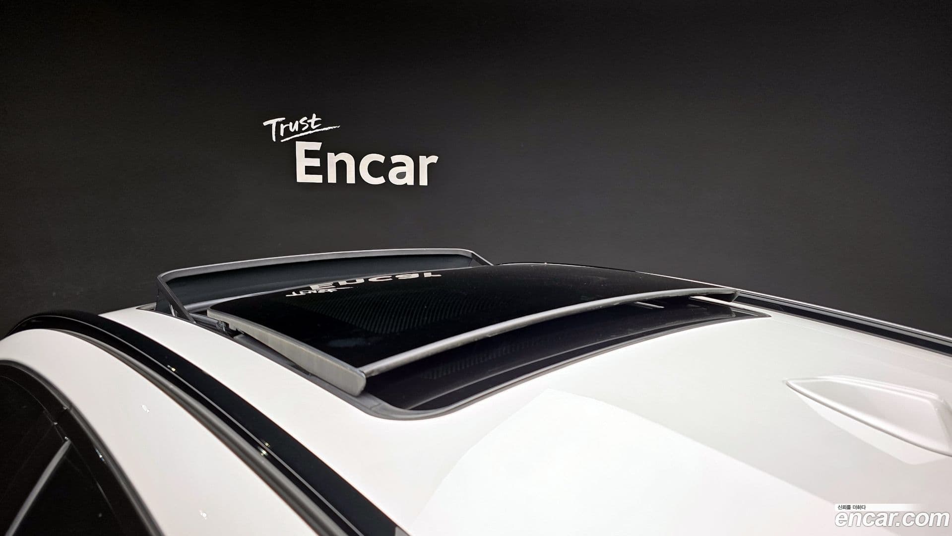 Main__Slider__Photo:X6M BMW 2024.6-18