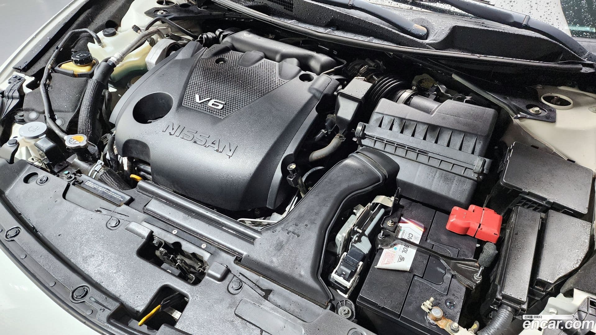 Main__Slider__Photo:Maxima Nissan 2018.4-5