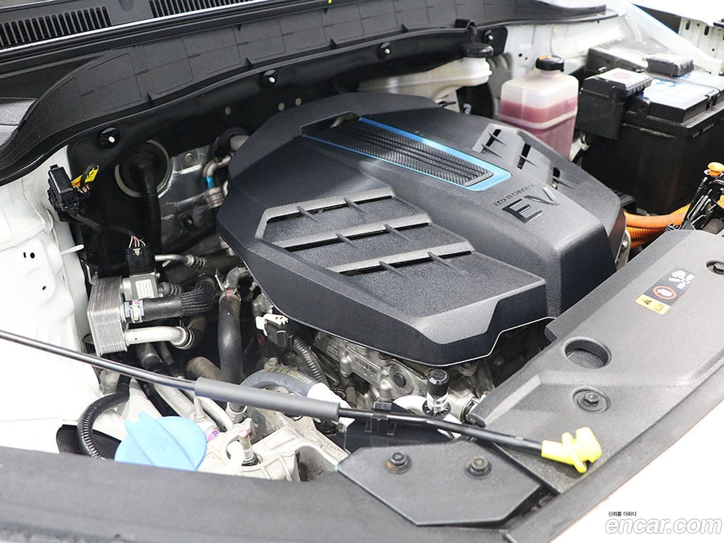 Main__Slider__Photo:Kona Hyundai 2019.2-18