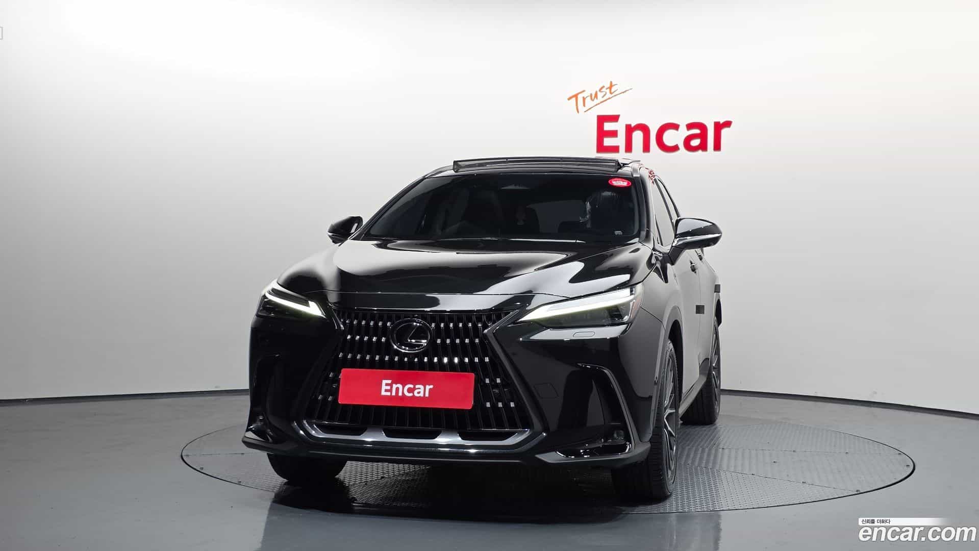 NX Lexus 2025.8-OUTER-003