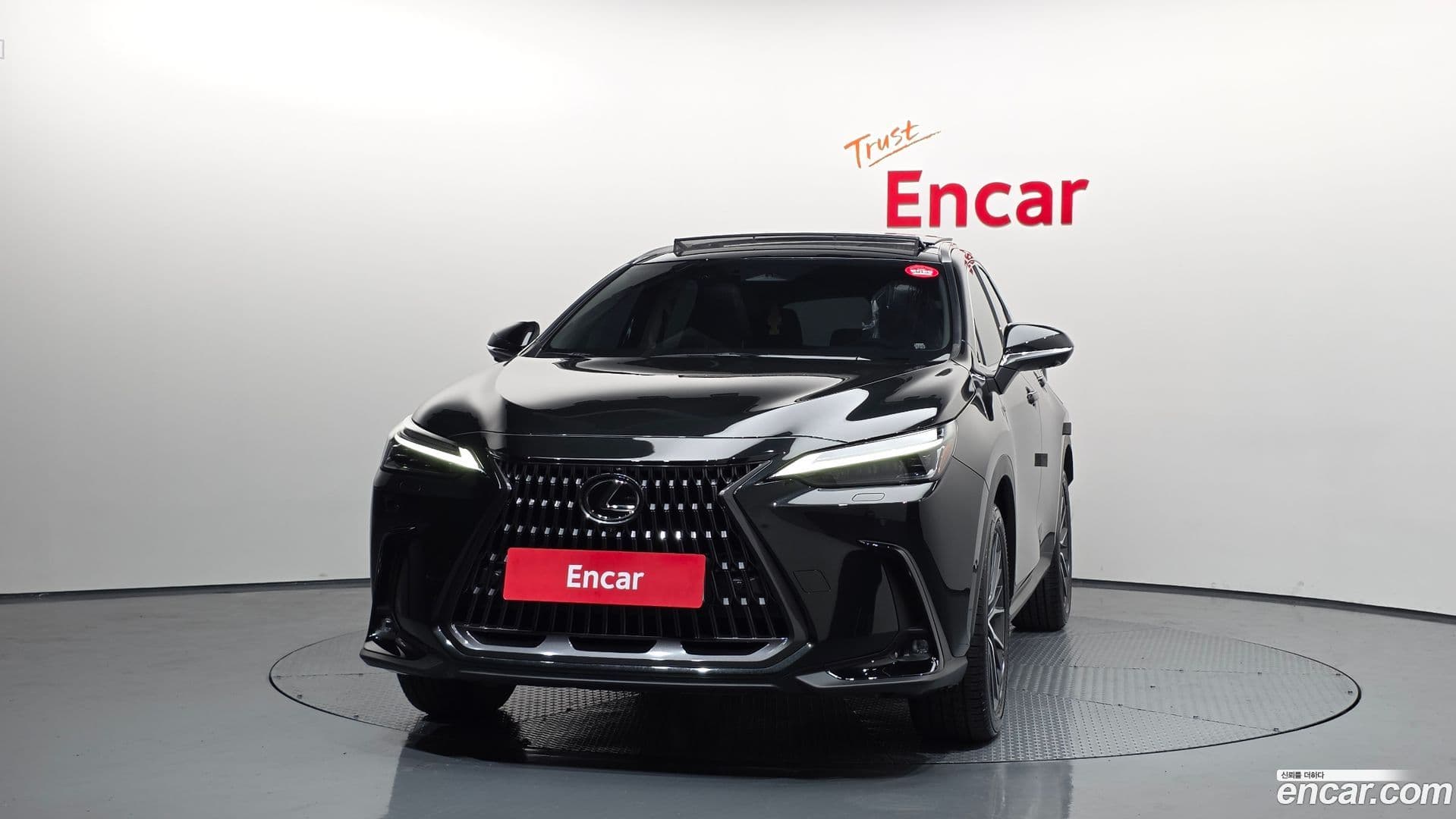 Main__Slider__Photo:NX Lexus 2025.8-2