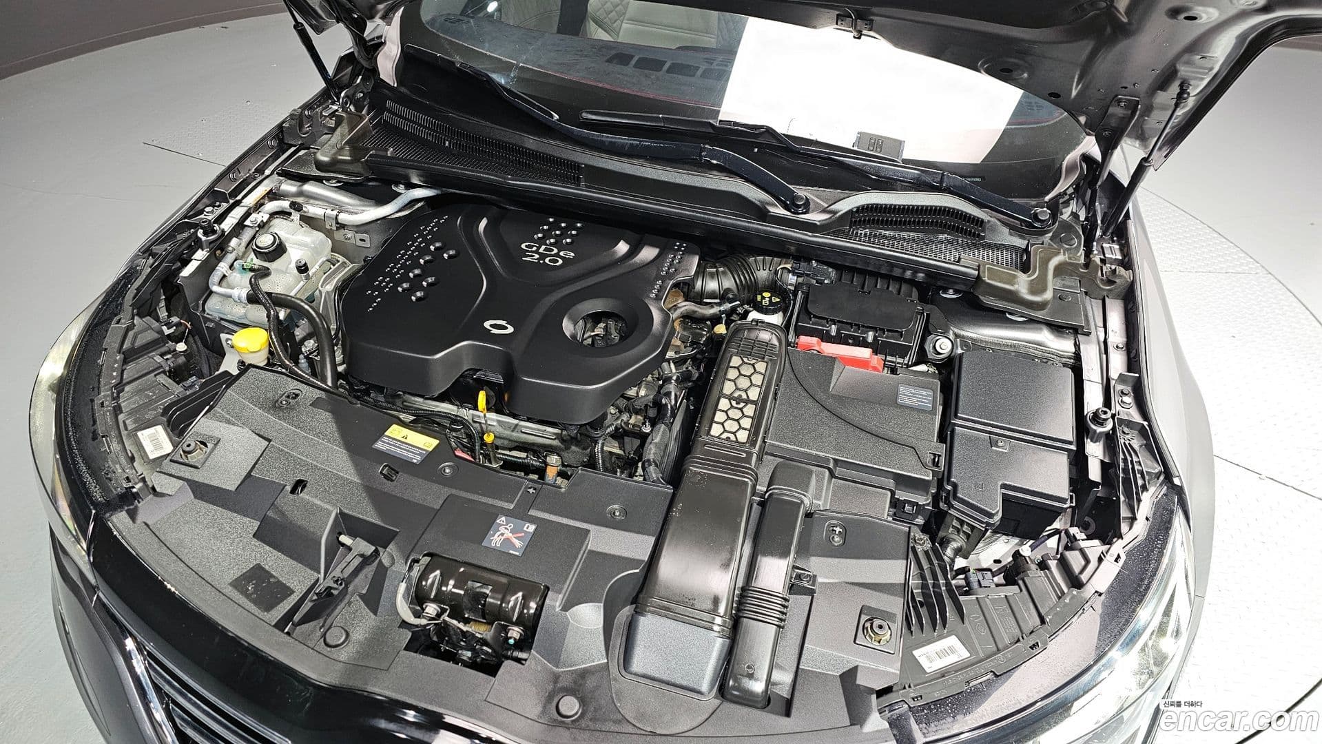 Main__Slider__Photo:SM6 Renault Korea 2016.1-5