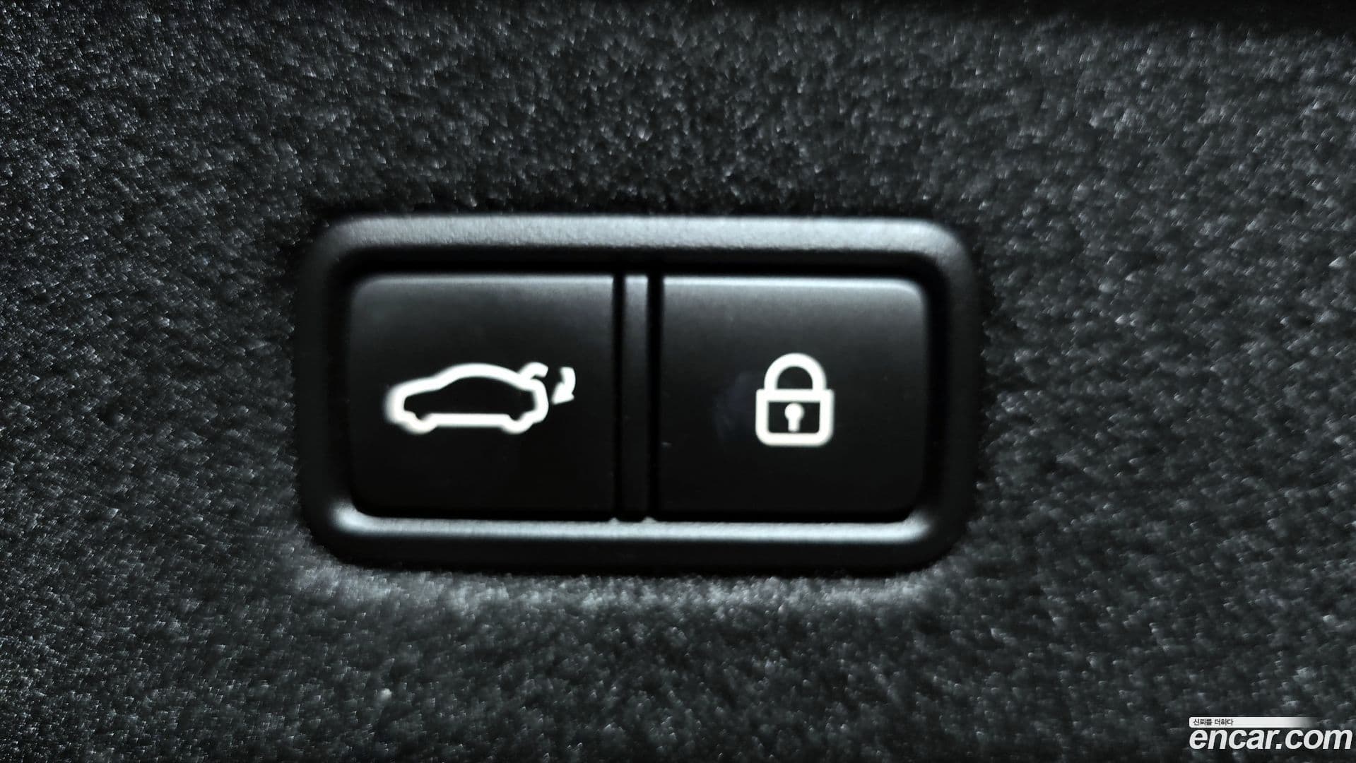 Main__Slider__Photo:K9 Kia 2020.4-19