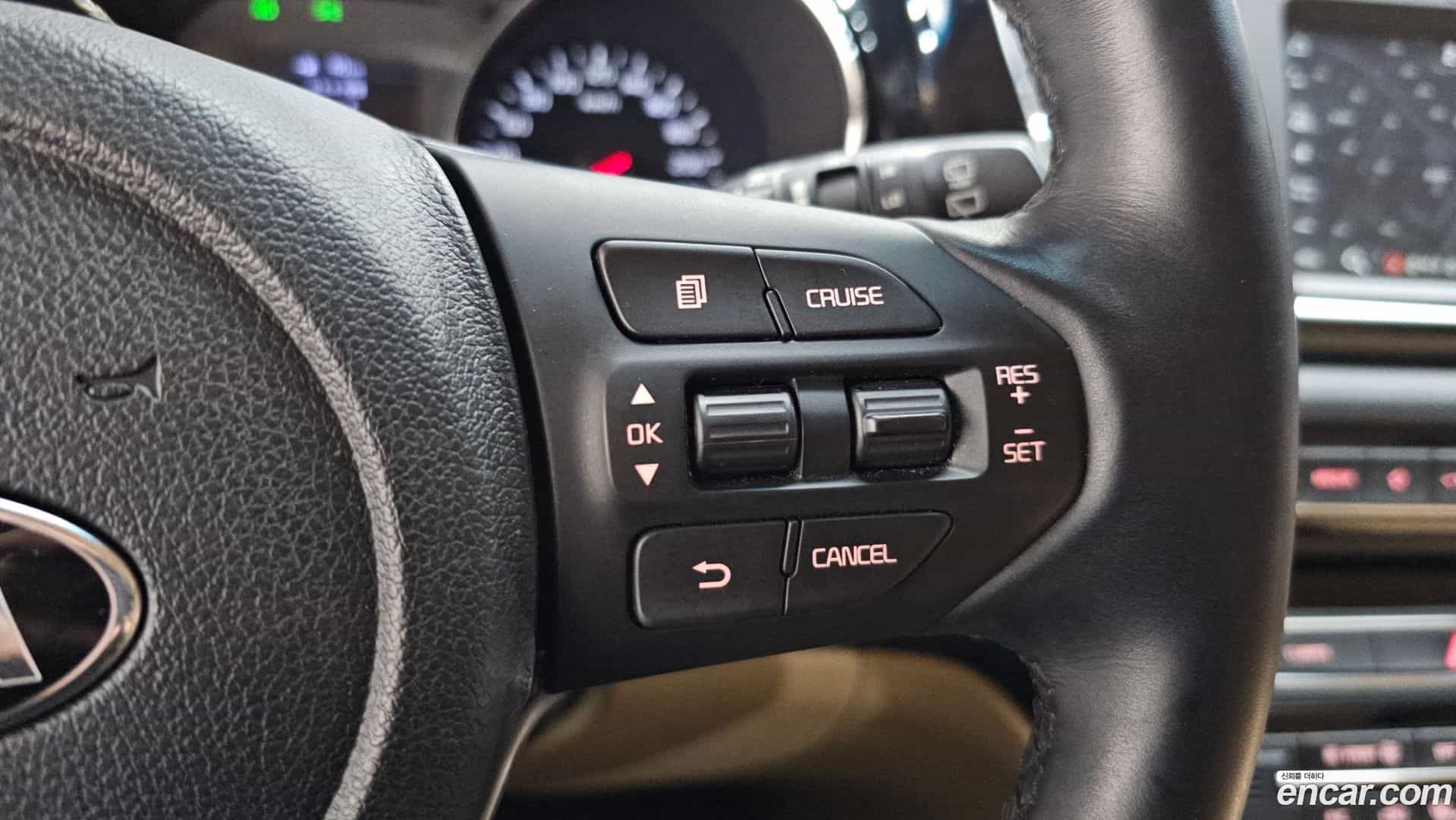 Canival Kia 2019.0-OPTION-020