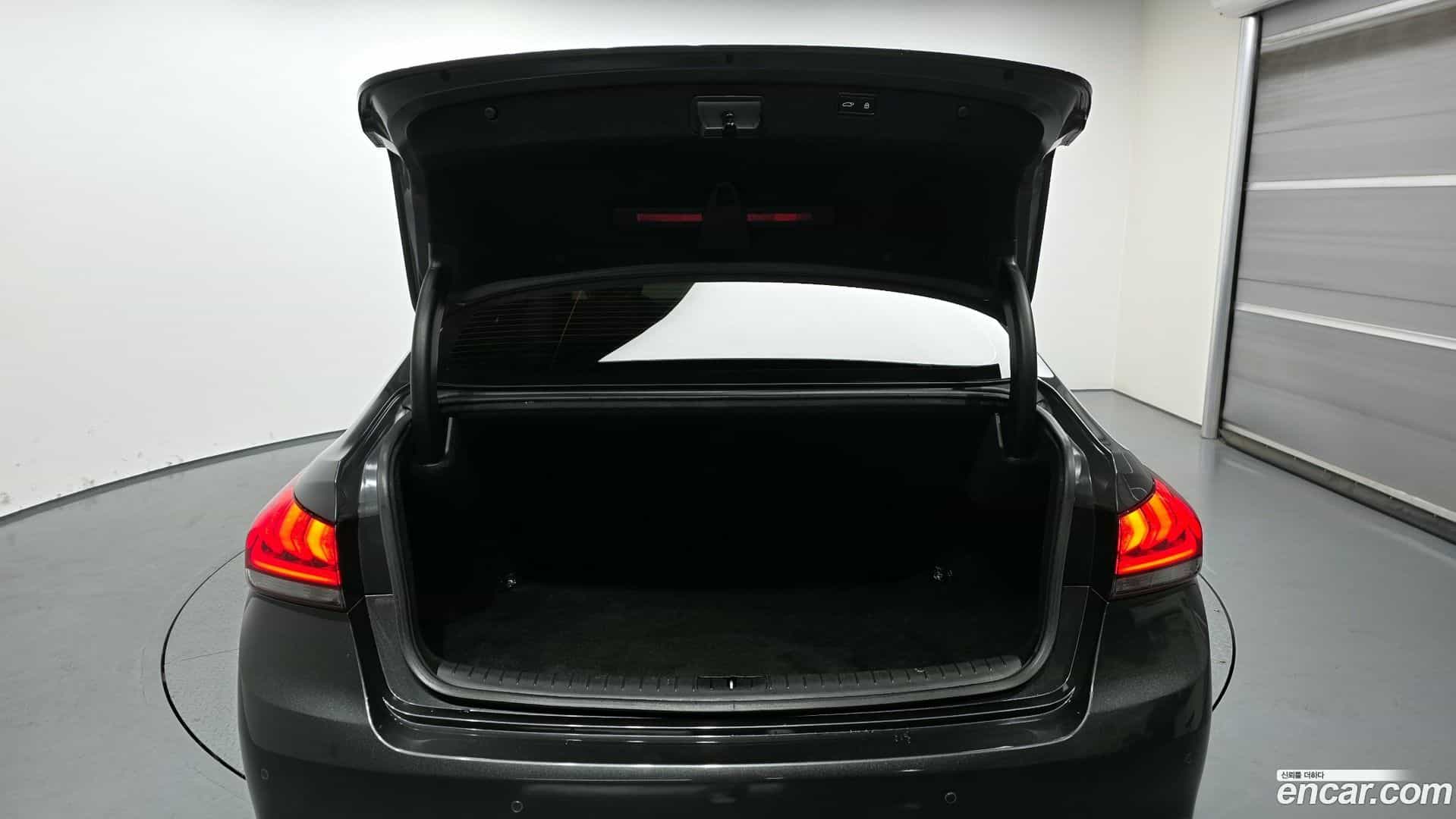 G80 Genesis 2017.2-OPTION-024