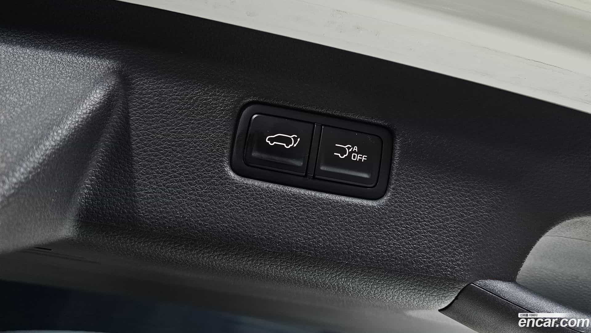 Canival Kia 2020.8-OPTION-023