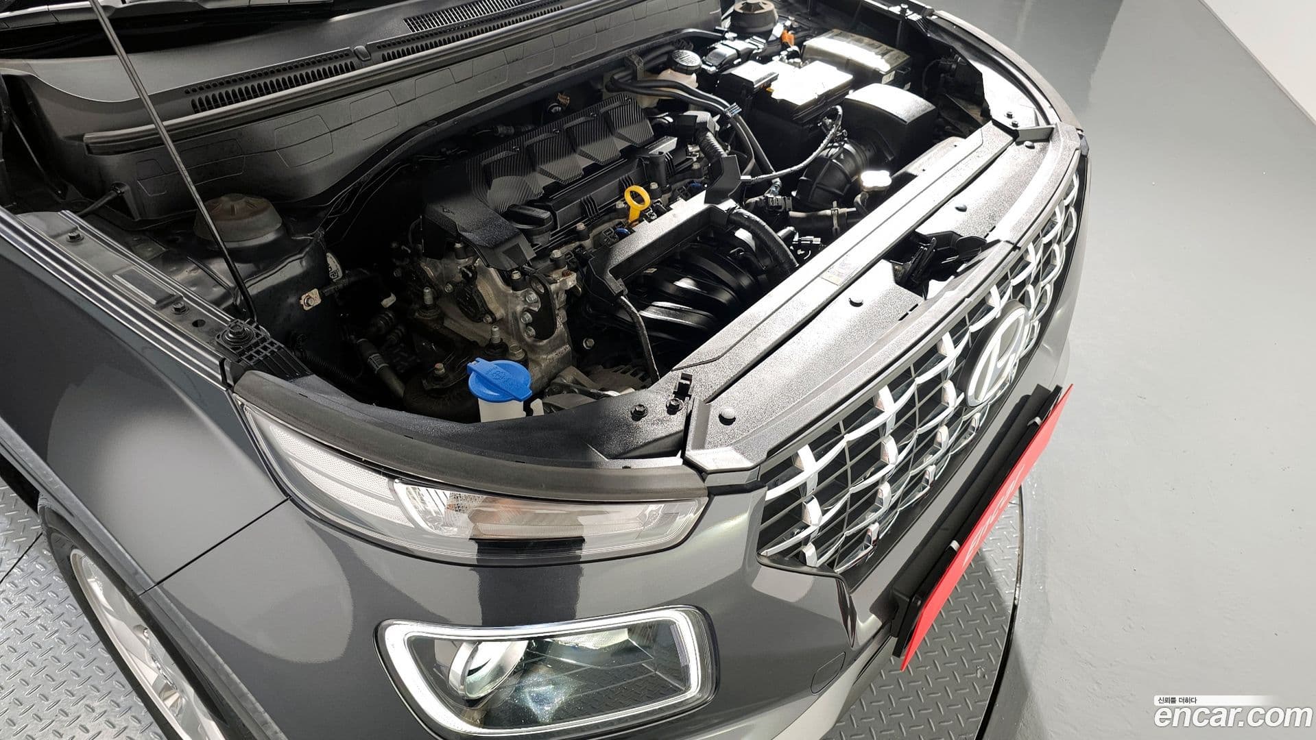 Main__Slider__Photo:Venue Hyundai 2021.7-5