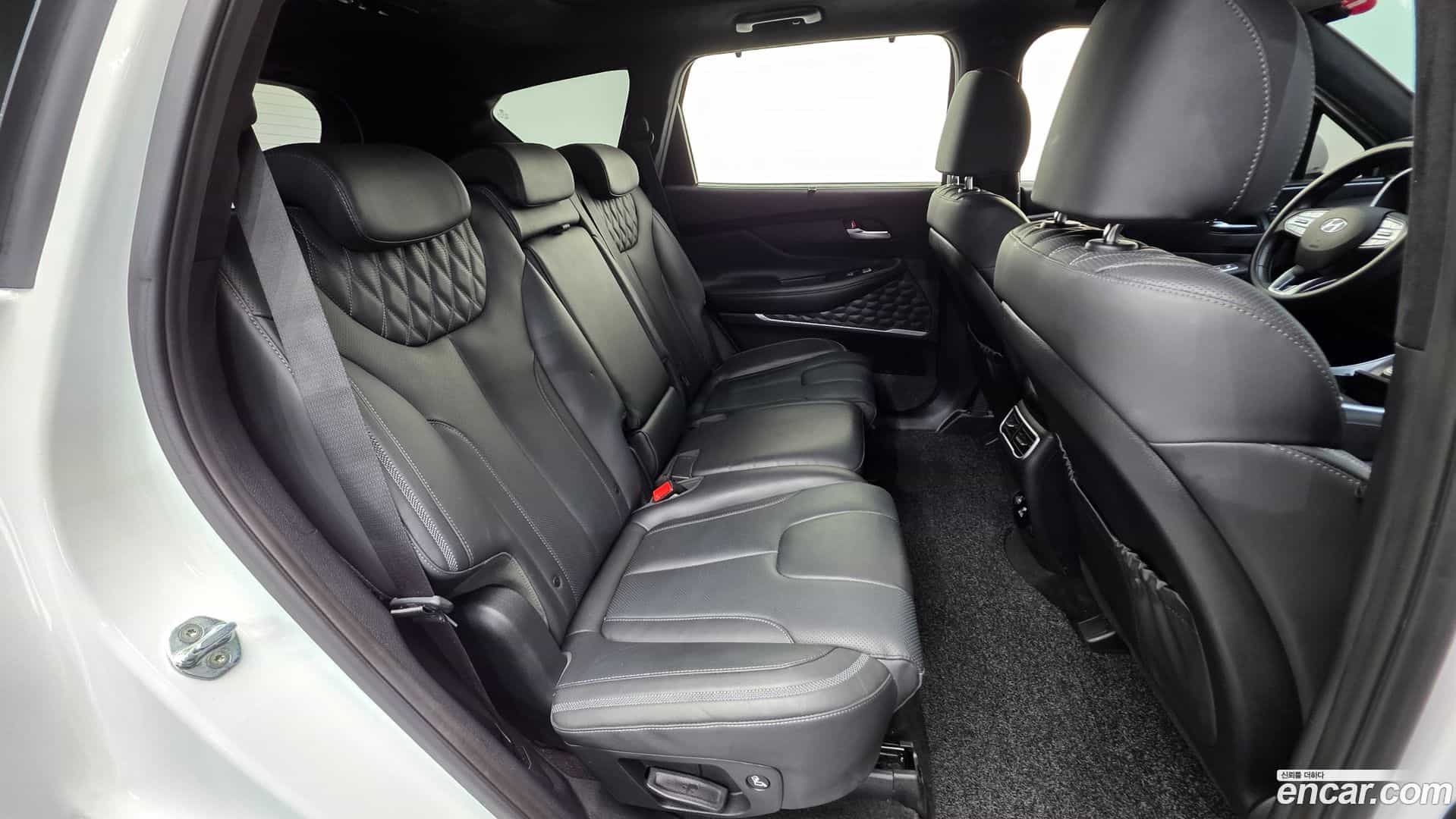 Santafe Hyundai 2021.11-OPTION-023