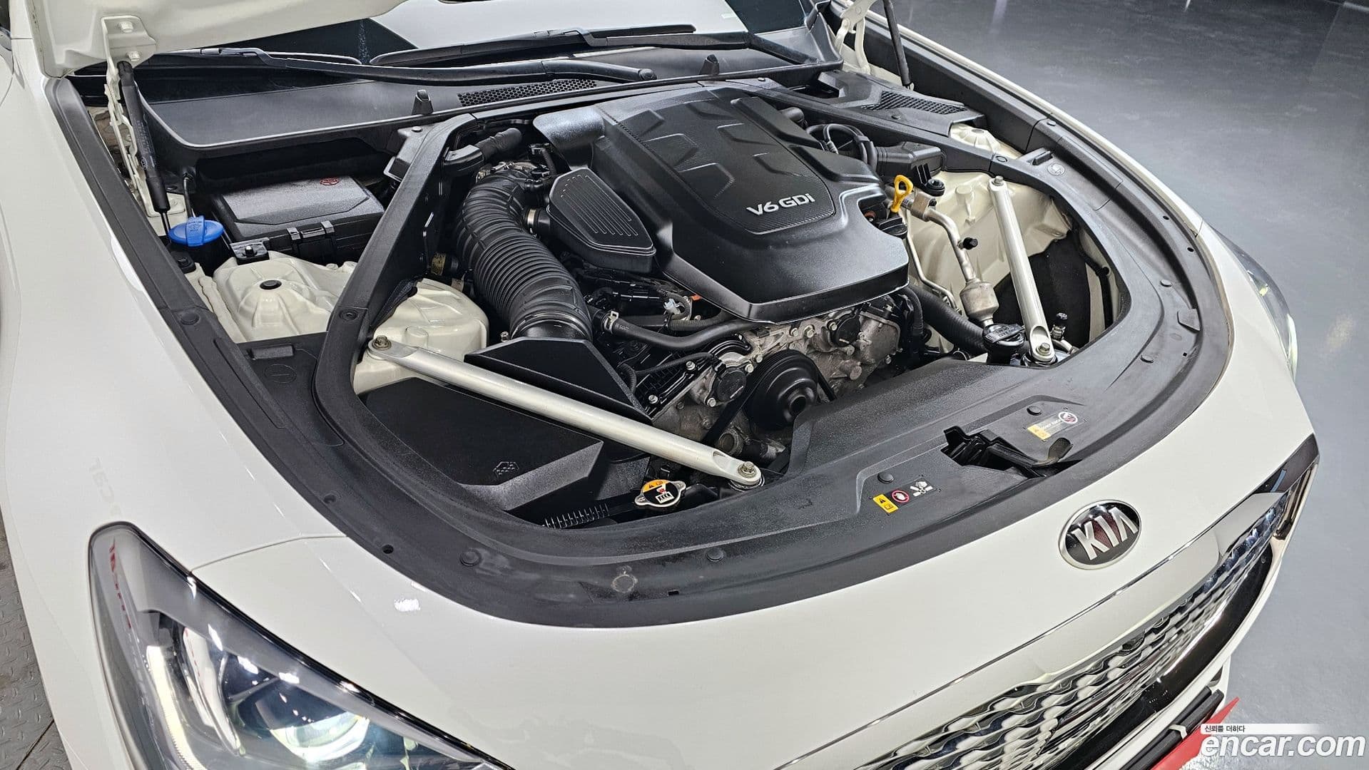 Main__Slider__Photo:K9 Kia 2020.9-5