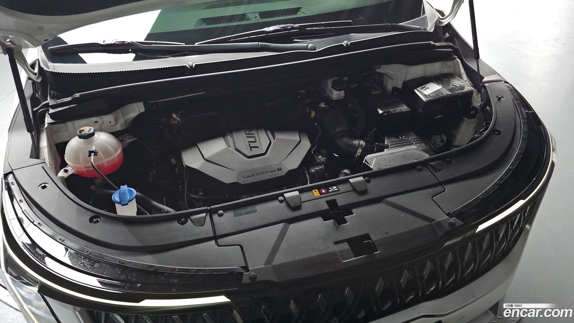 Main__Slider__Photo:Canival Kia 2024.2-5