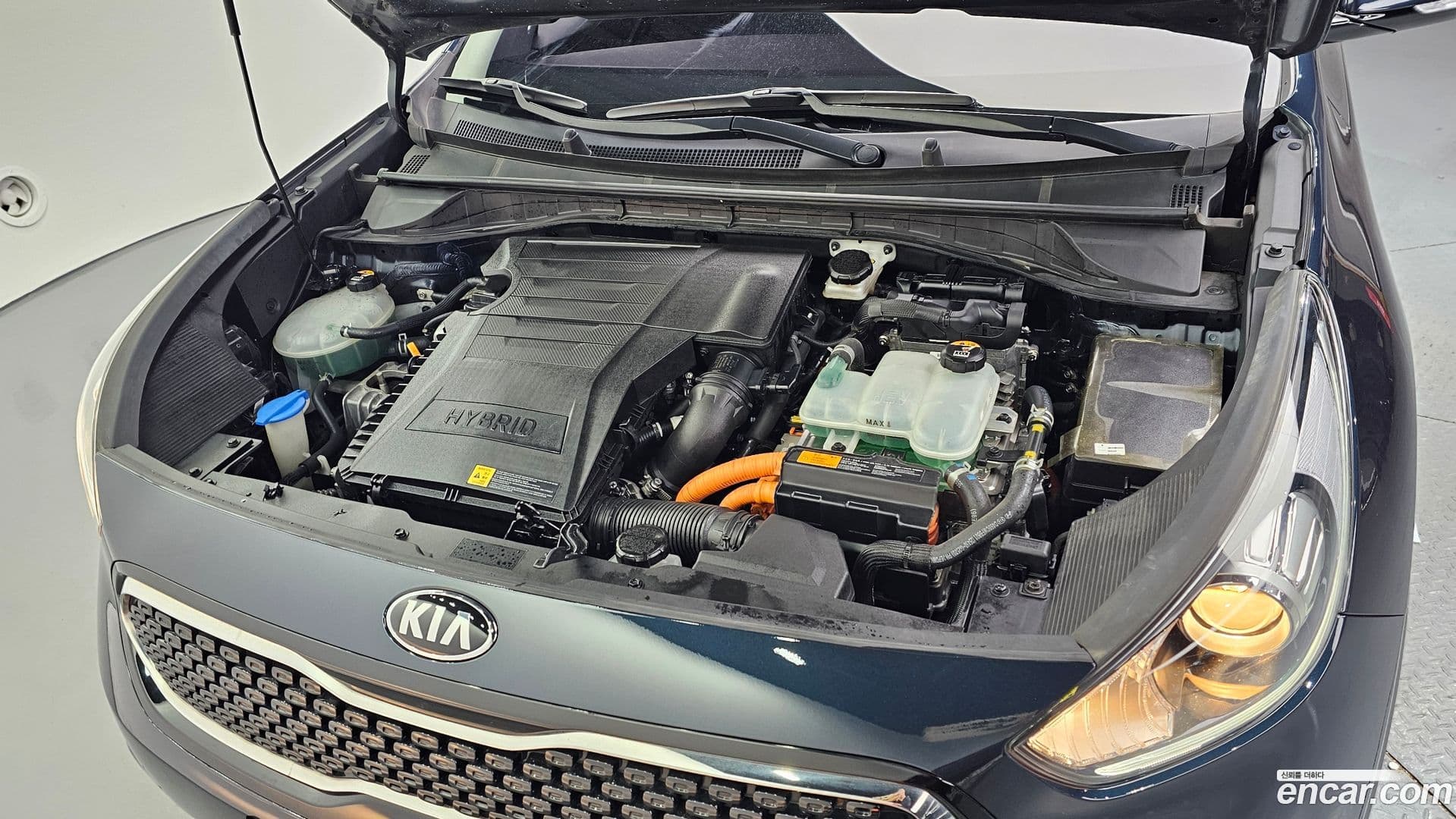 Main__Slider__Photo:Niro Kia 2016.5-5