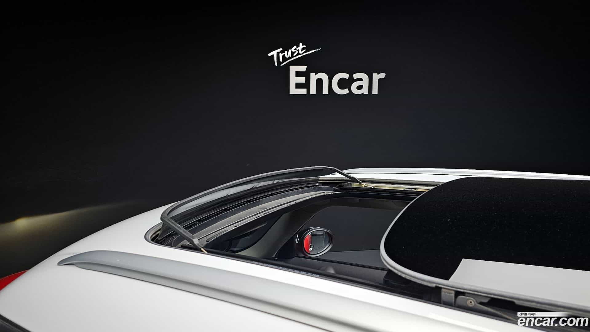 Countryman Mini 2012.7-OPTION-021