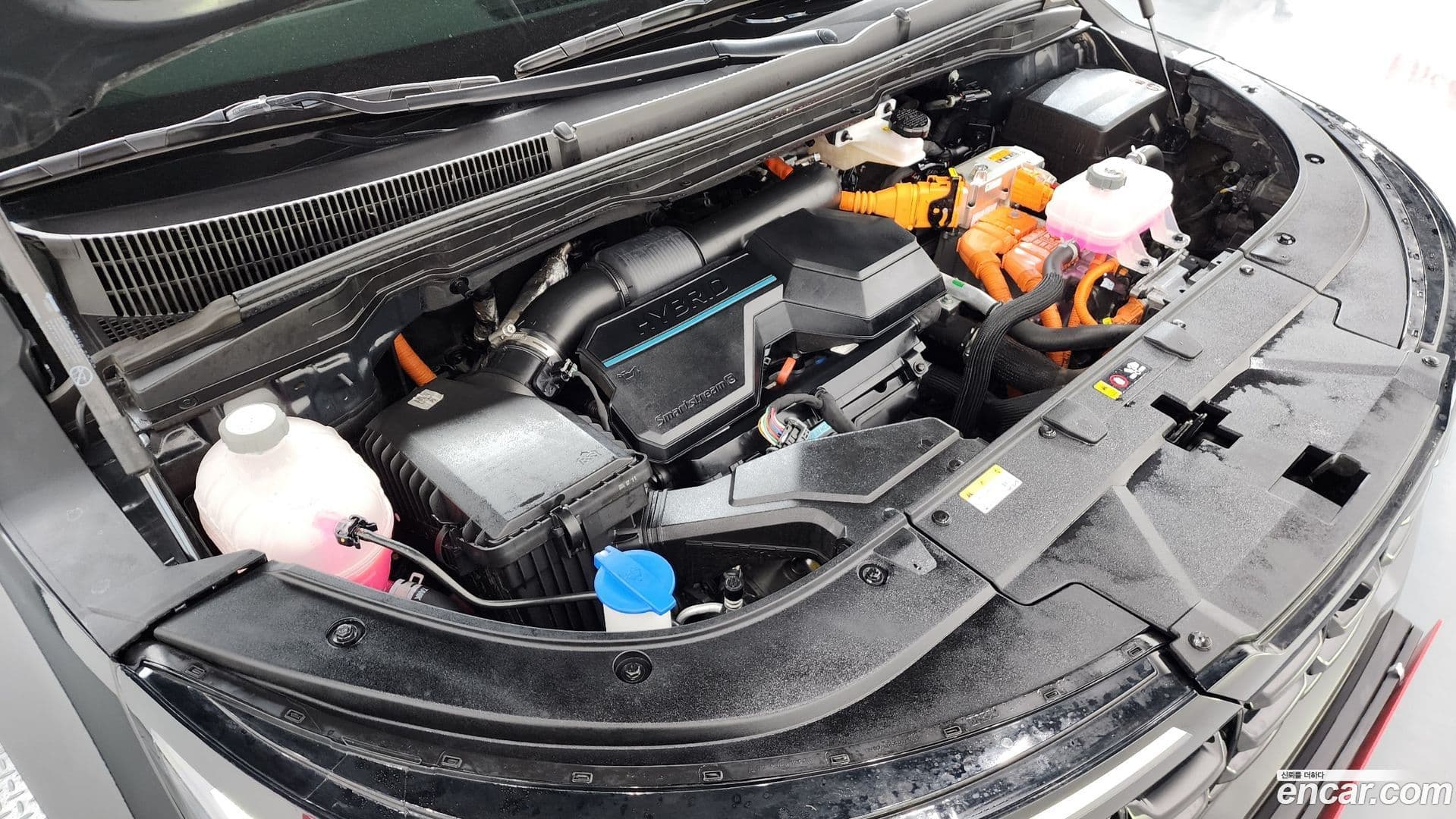 Main__Slider__Photo:Canival Kia 2024.6-5