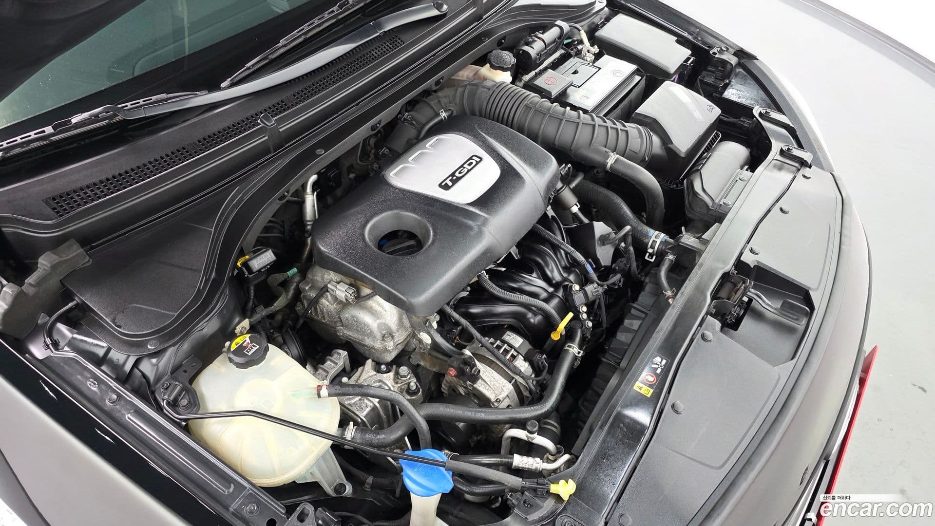 Main__Slider__Photo:AVANTE Hyundai 2016.9-5