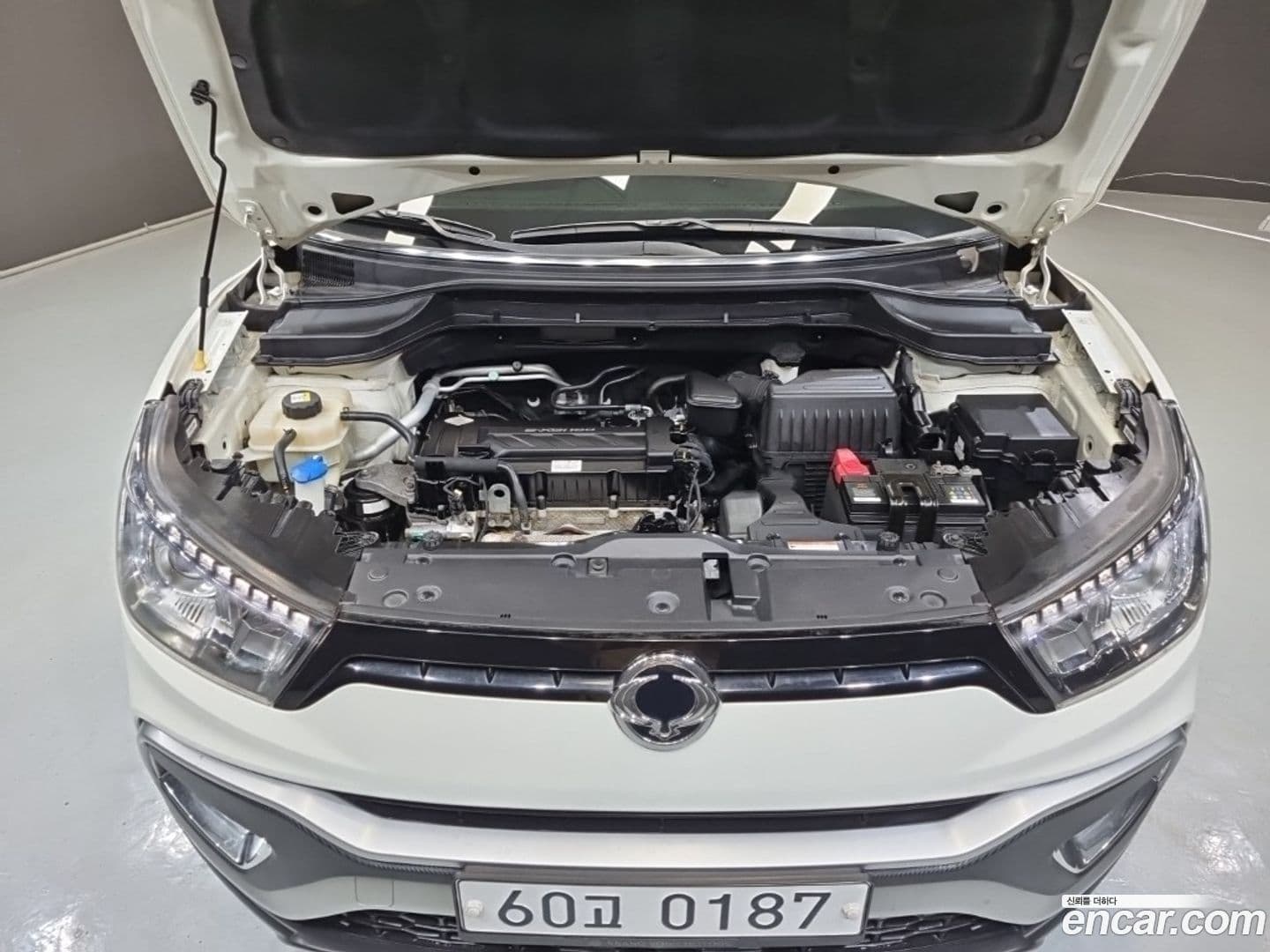 Main__Slider__Photo:TIBOLI KG_Mobility_Ssangyong 2016.6-7