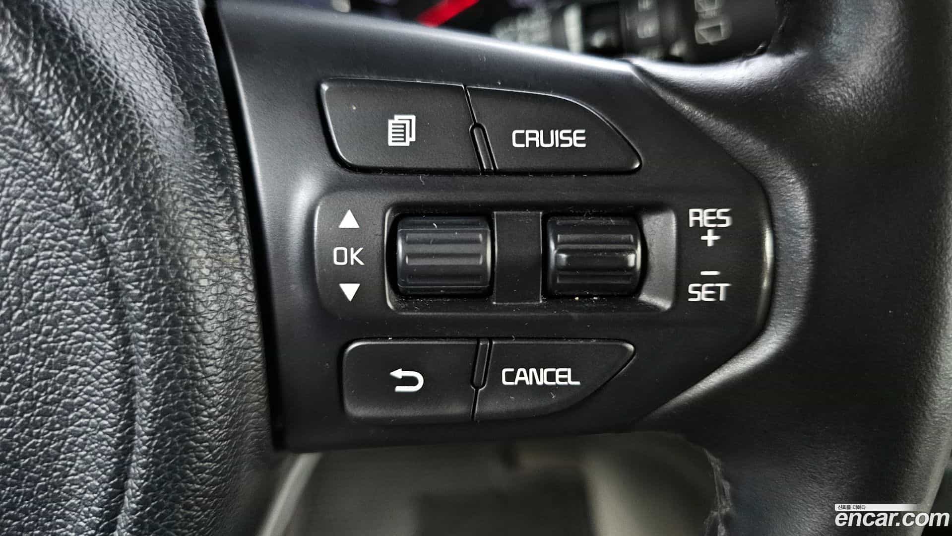 Canival Kia 2017.8-OPTION-024