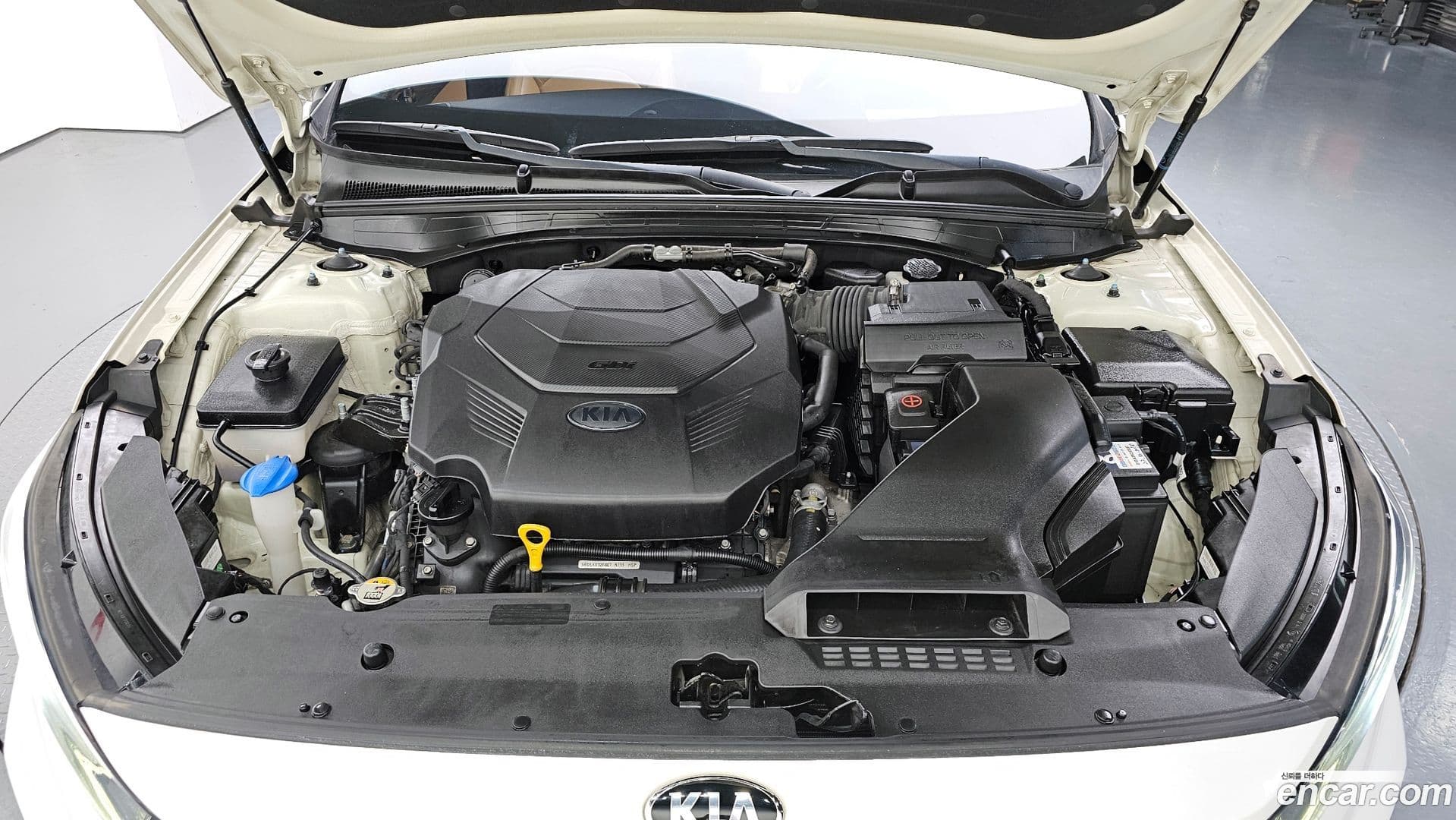 Main__Slider__Photo:K7 Kia 2019.6-5